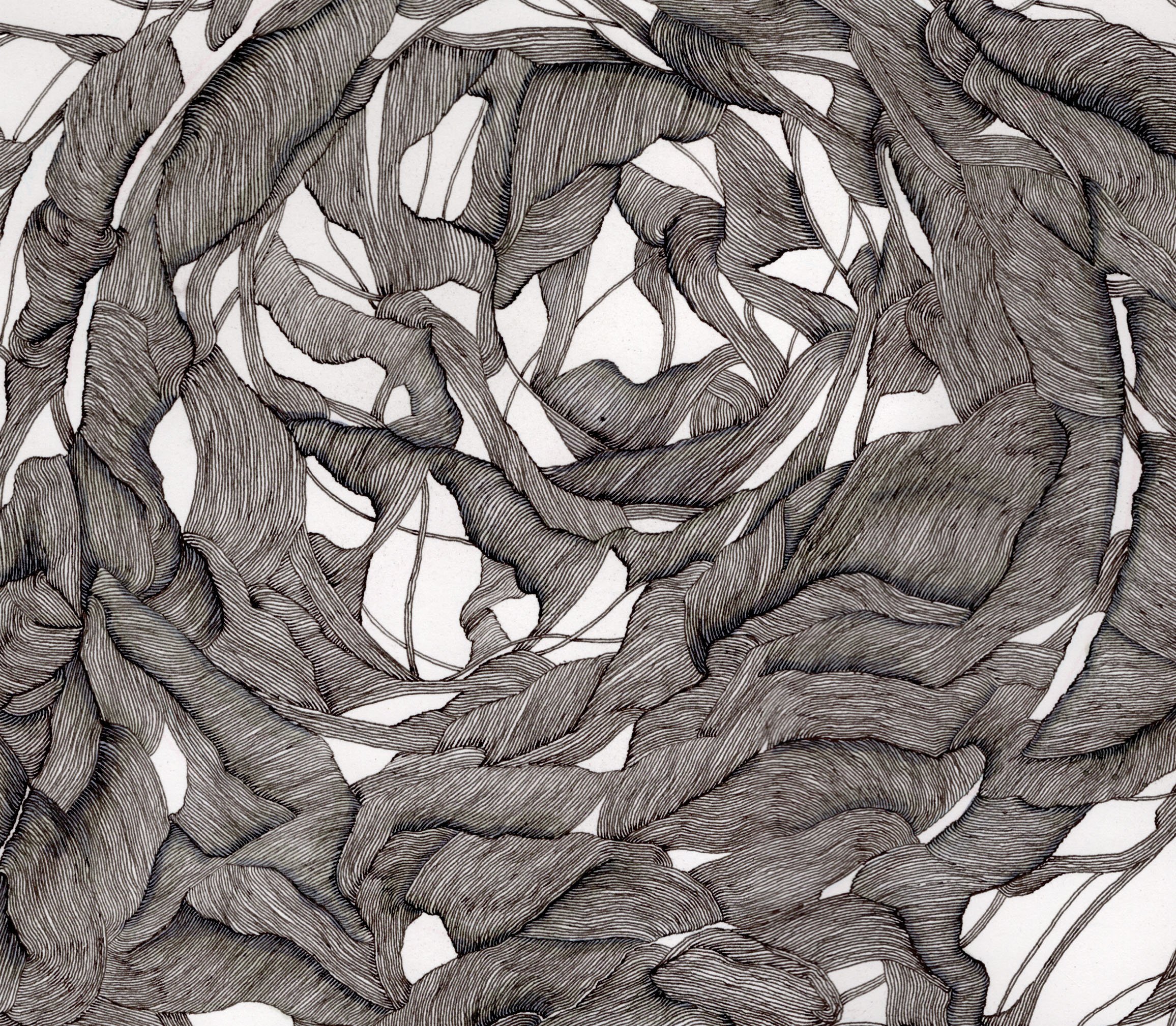 10.14.23_White Background copy 2.jpg