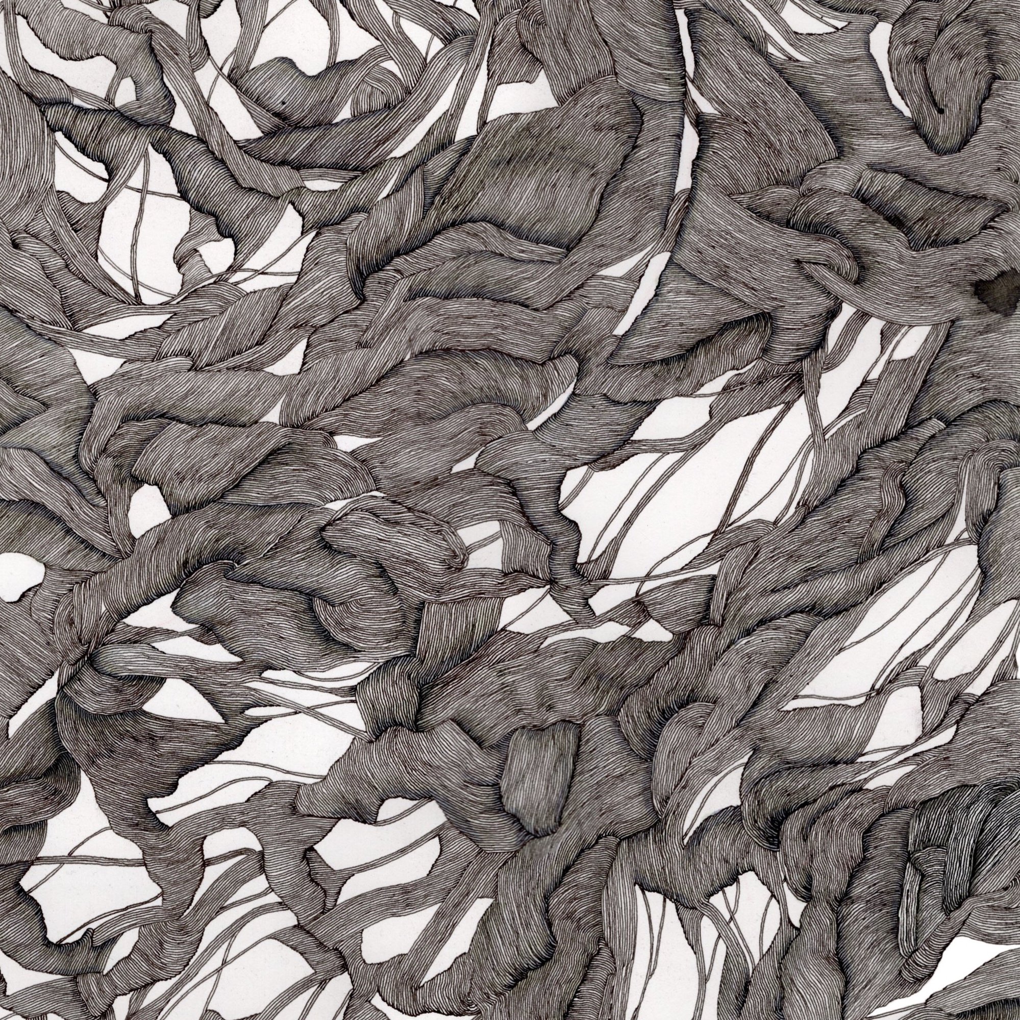 10.14.23_White+Background_cropped+close+up.jpg