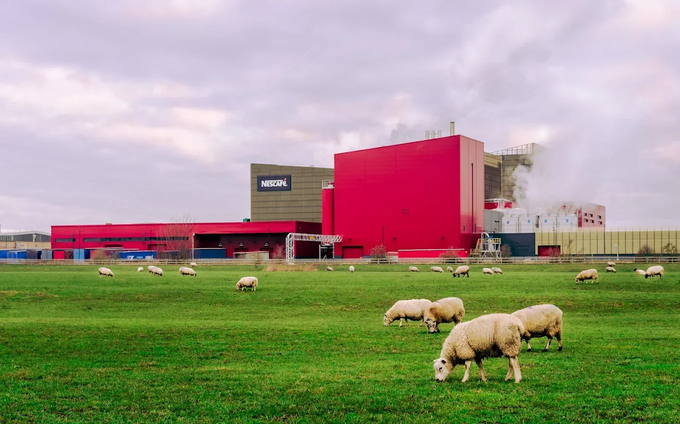 A field with grazing sheep in the foreground and a large factory building in the background, with smoke or steam coming from the chimneys.