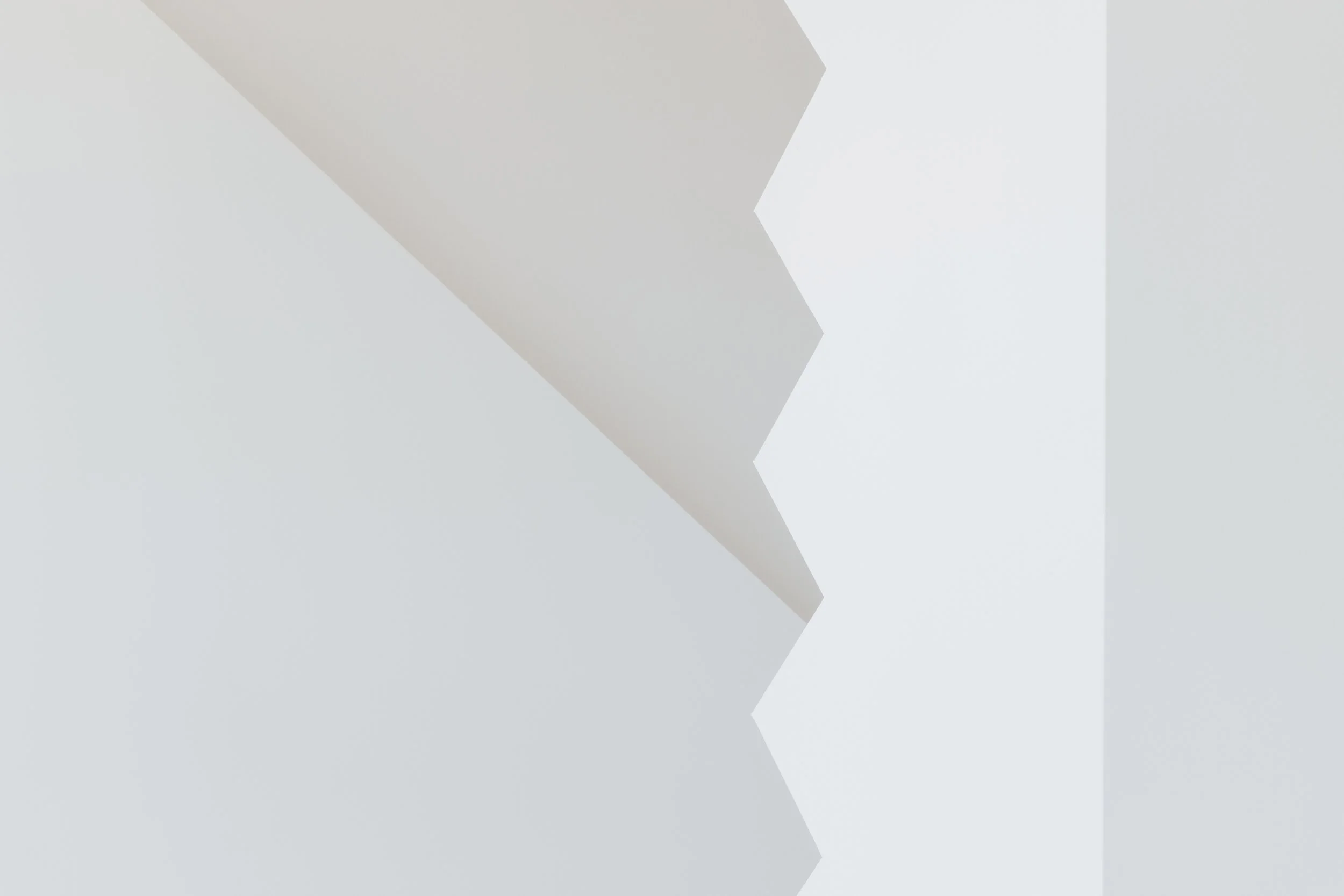 Beta 2026_Dumitrescu David_post white (6).jpg