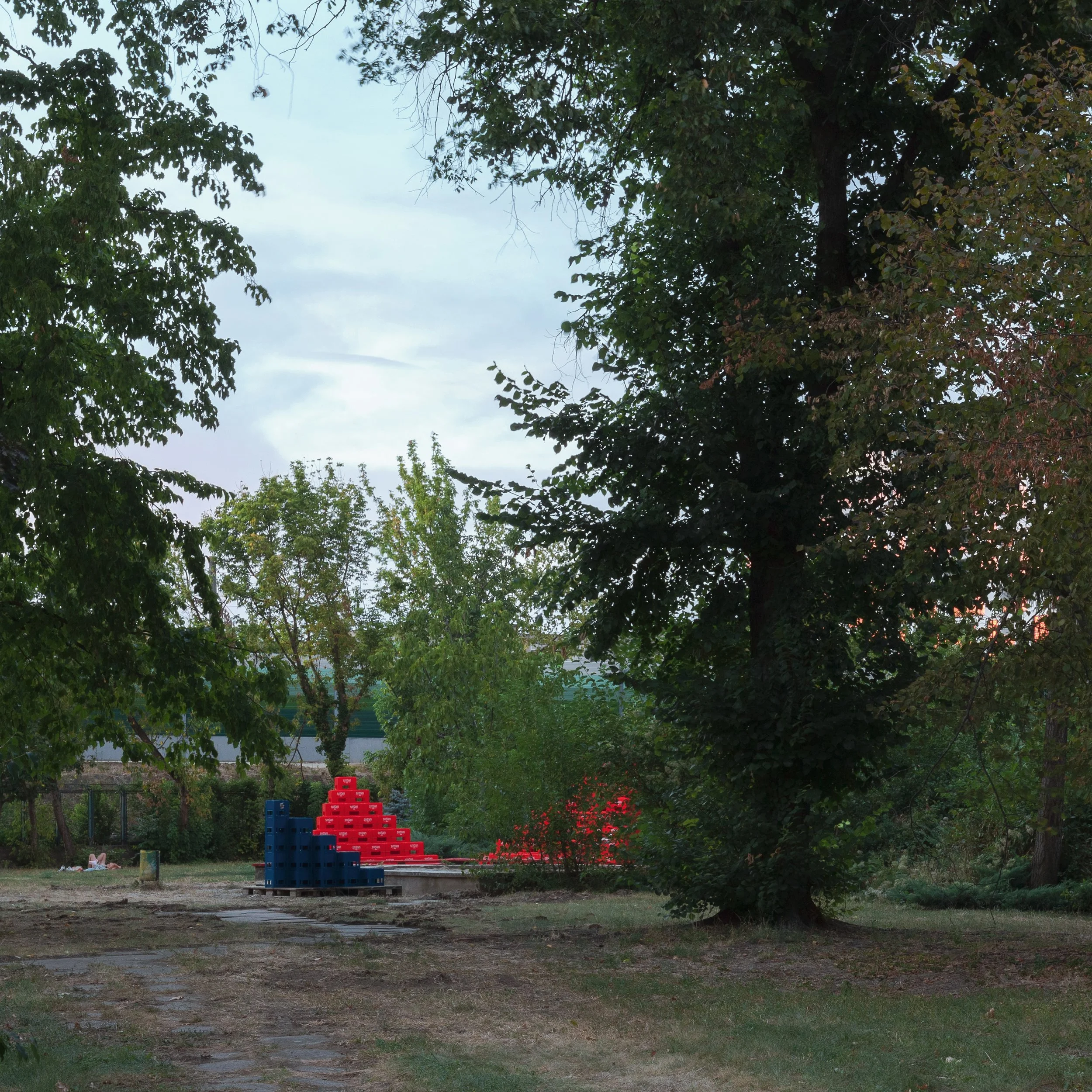 Beta 2026_Press_David Dumitrescu (8).jpg