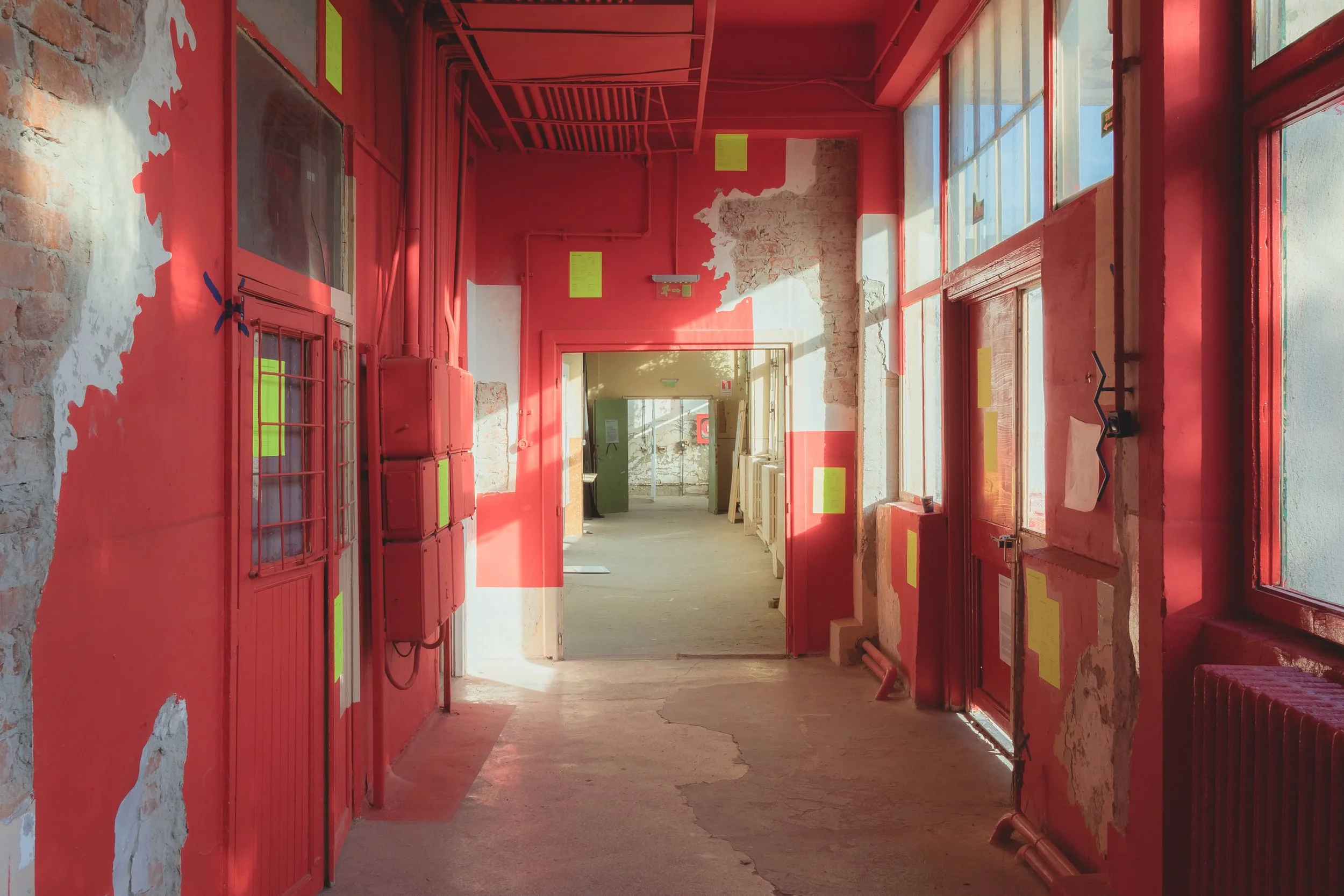 Beta 2026_Dumitrescu David_diagnosis red (3).jpg