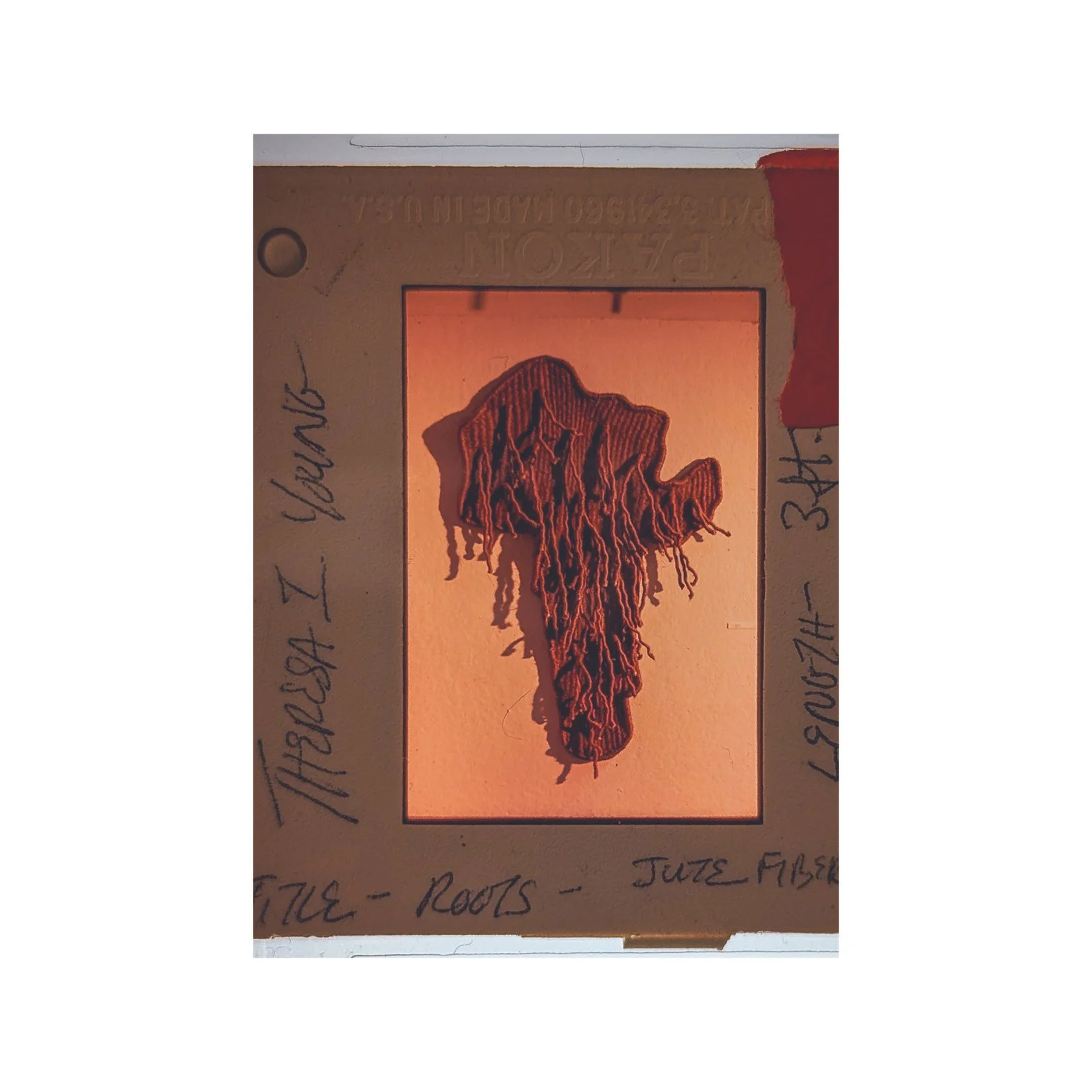 Slide of "Roots" by Theresa-India Young (UMass Boston Archive)