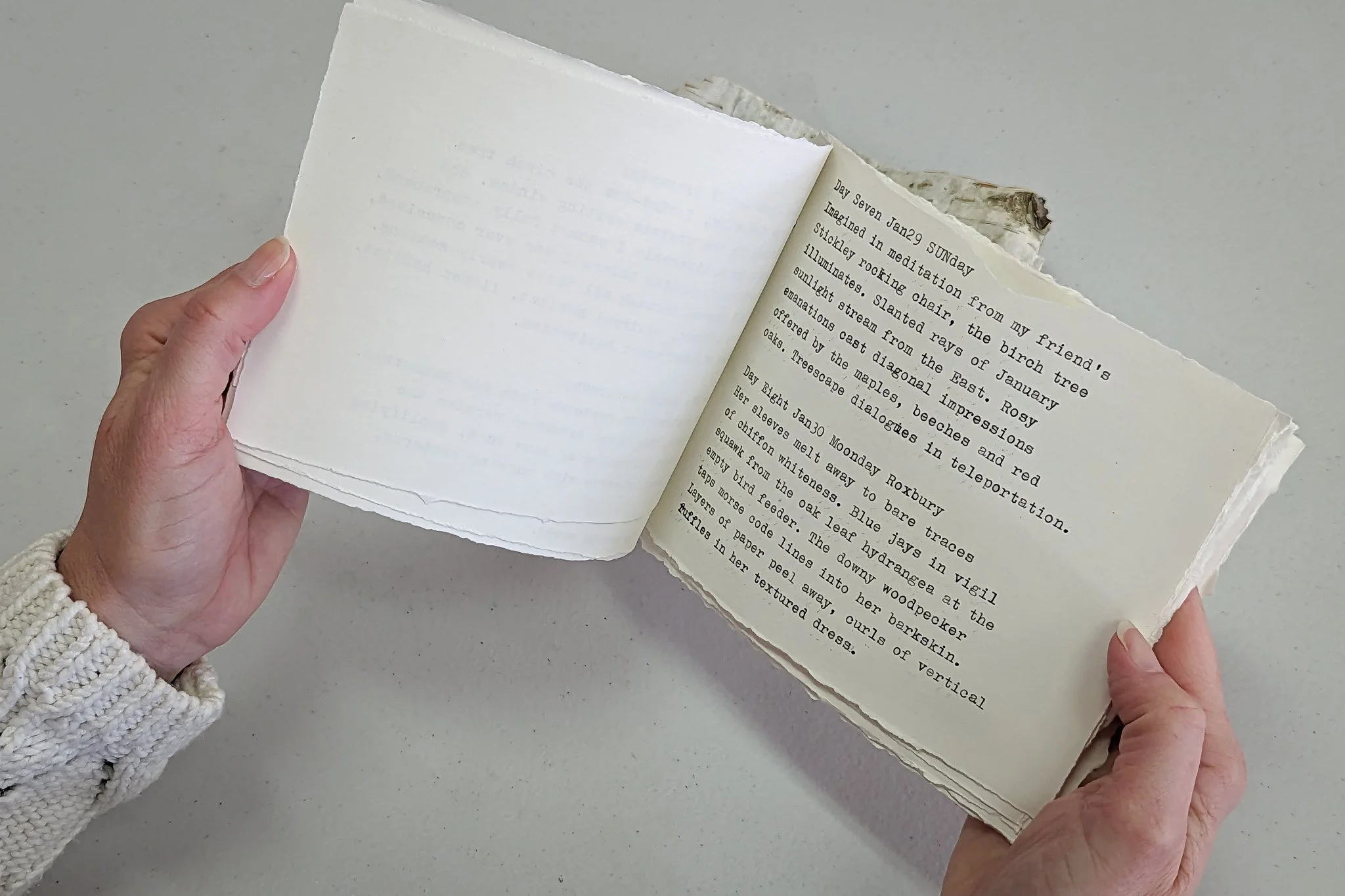 birch book_sweeney (1).jpg