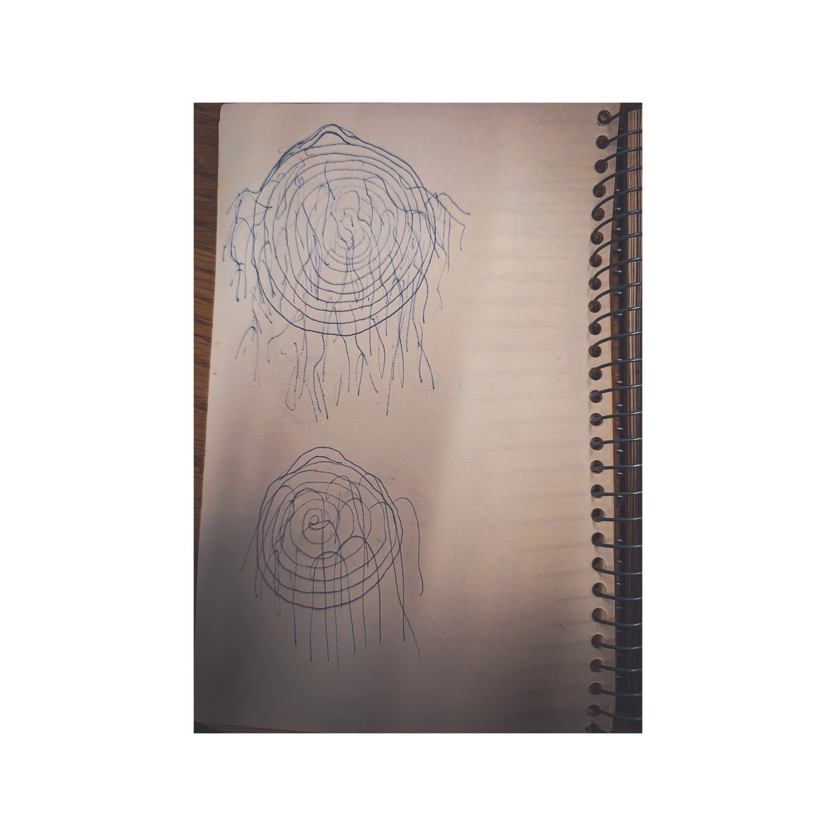 Images from Theresa's sketchbook feature organic forms, fiber art ideas. (UMass Boston Archive)