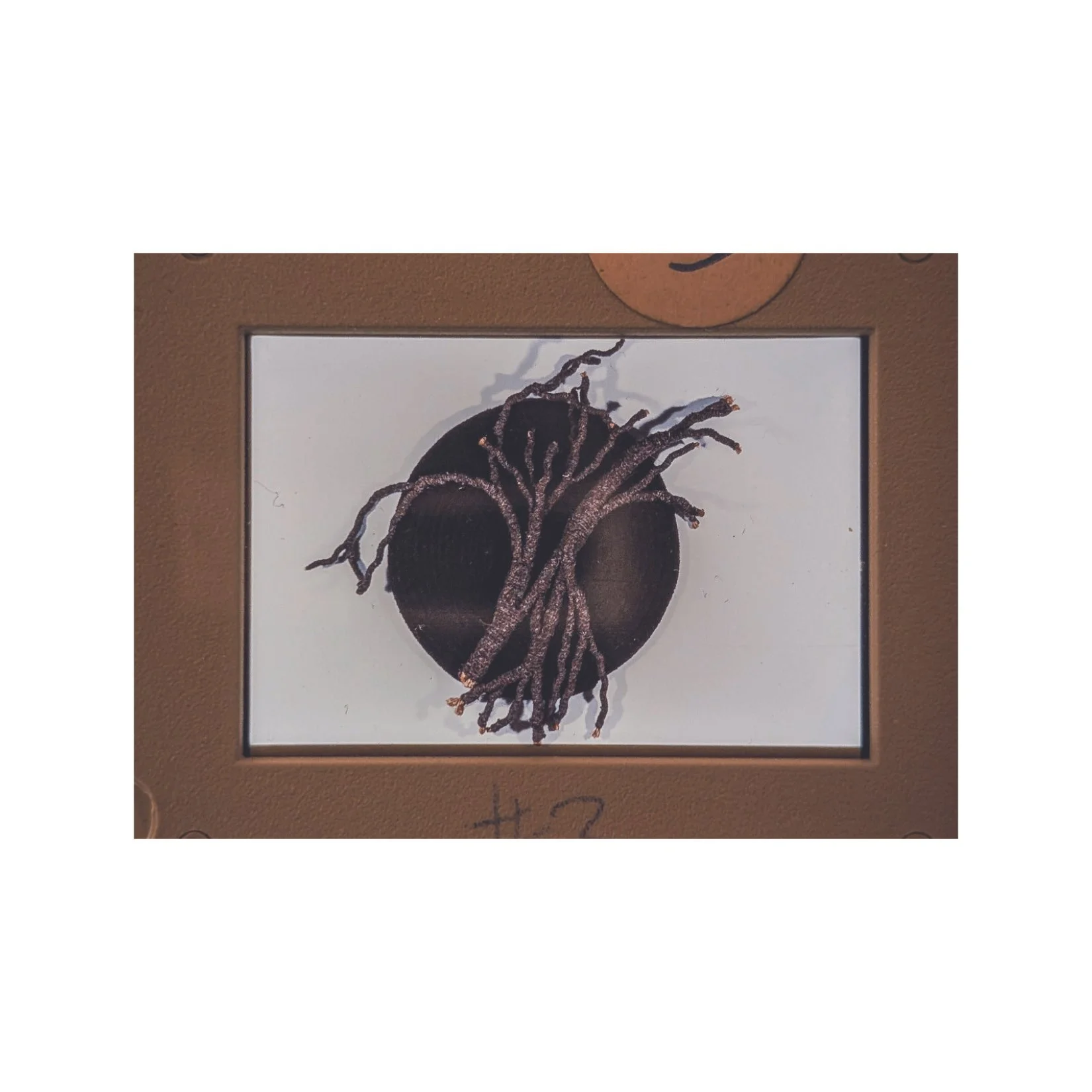 Slide detail featuring artwork by Theresa-India Young (UMass Boston Archive)