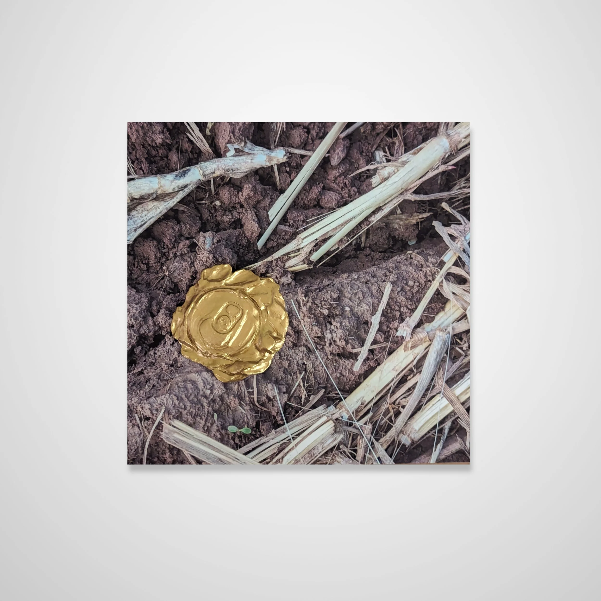 Untitled design (24).jpg