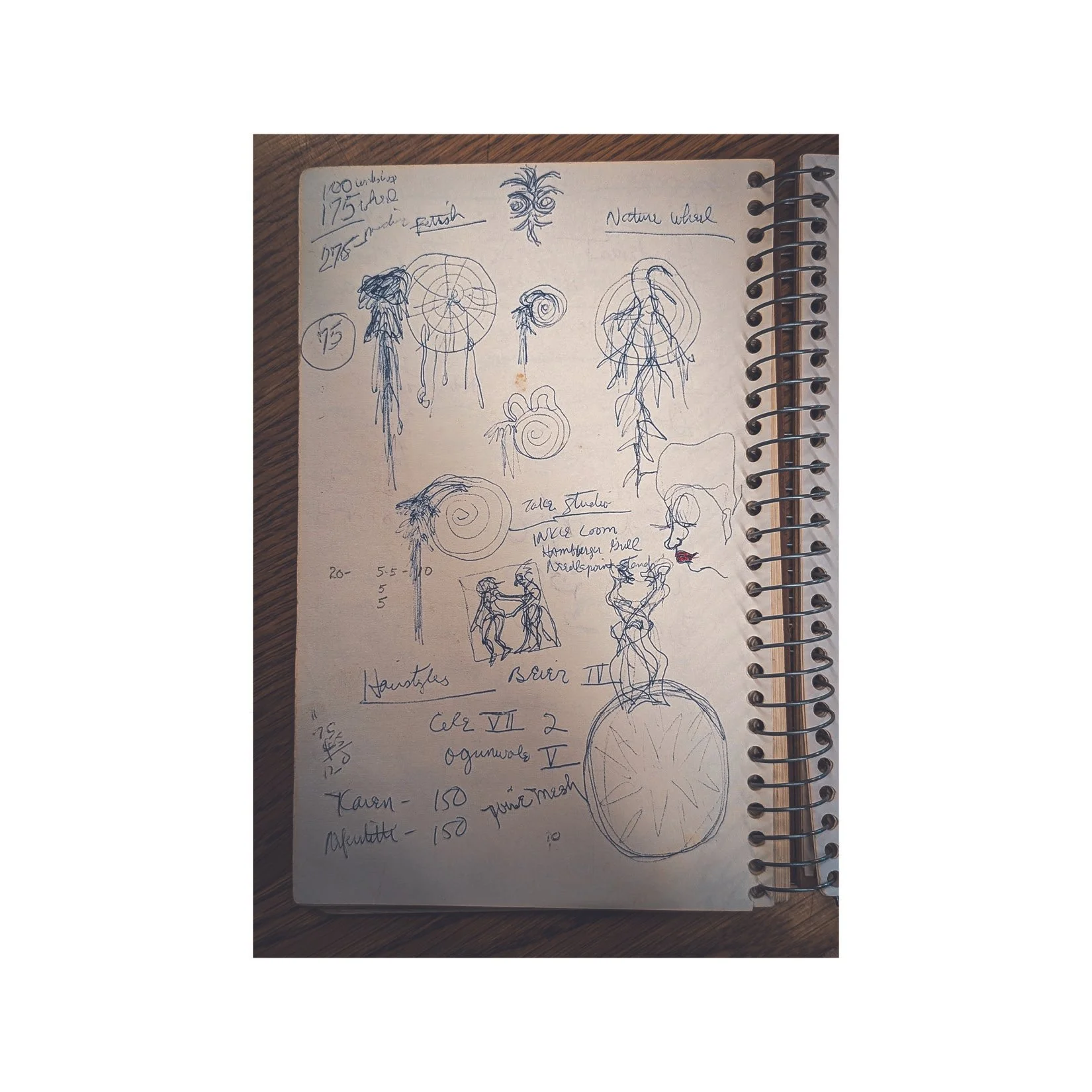 Images from Theresa's sketchbook feature organic forms, fiber art ideas. (UMass Boston Archive)