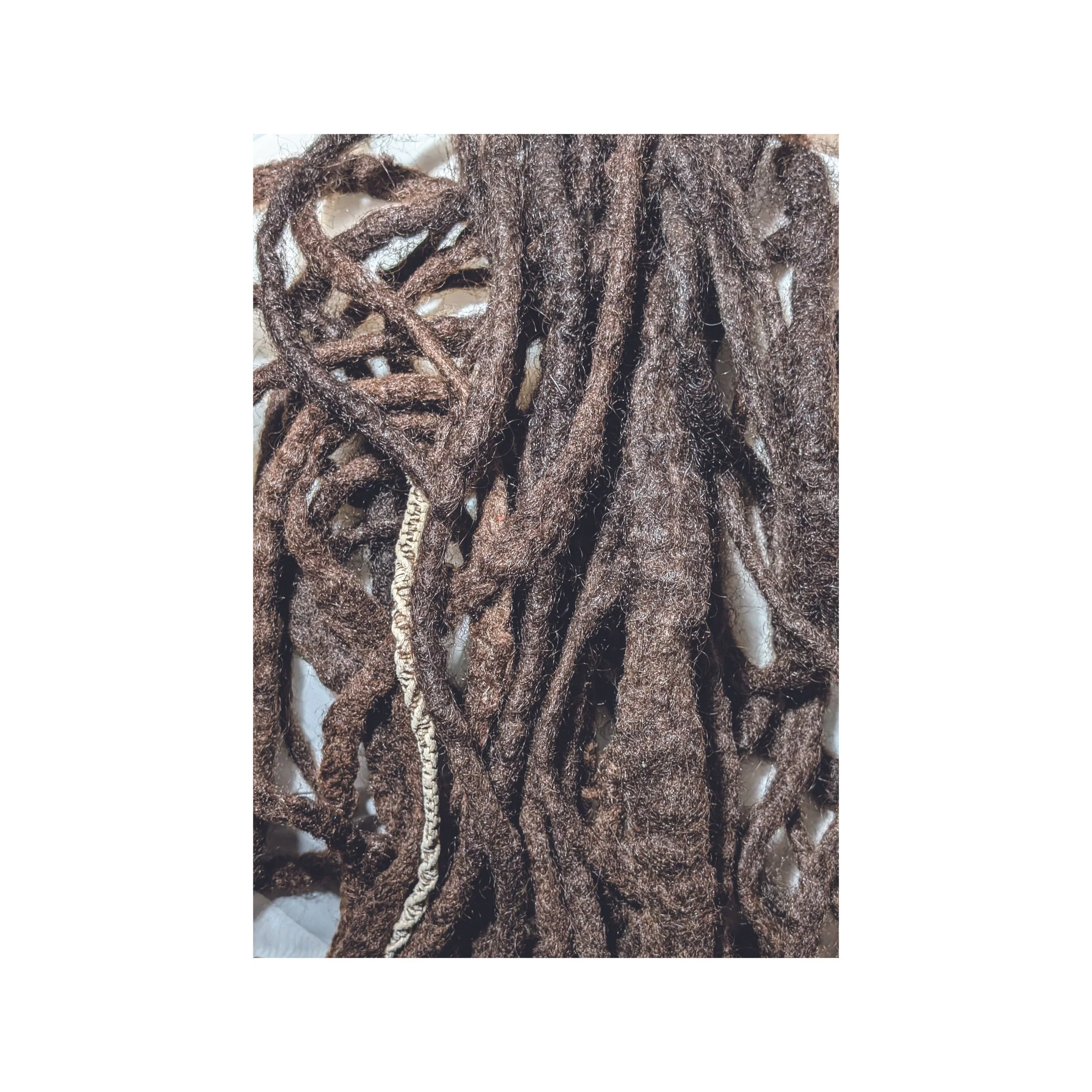 My dreadlocks which I cut in 1999. I've carried them with me since and am just discovering their purpose (outside of sitting on my head)