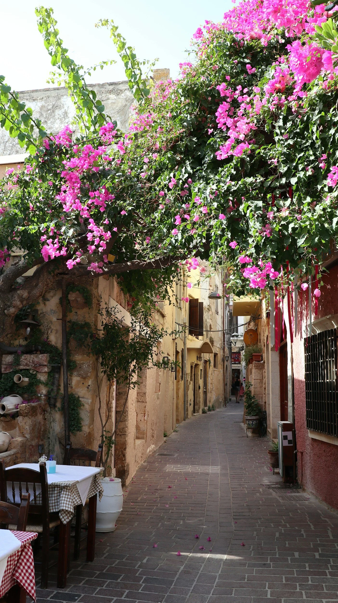 A narrow street with stone buildings on both sides, decorated with colorful flowers and flowering bushes hanging over the street, with outdoor tables covered with checkered tablecloths.