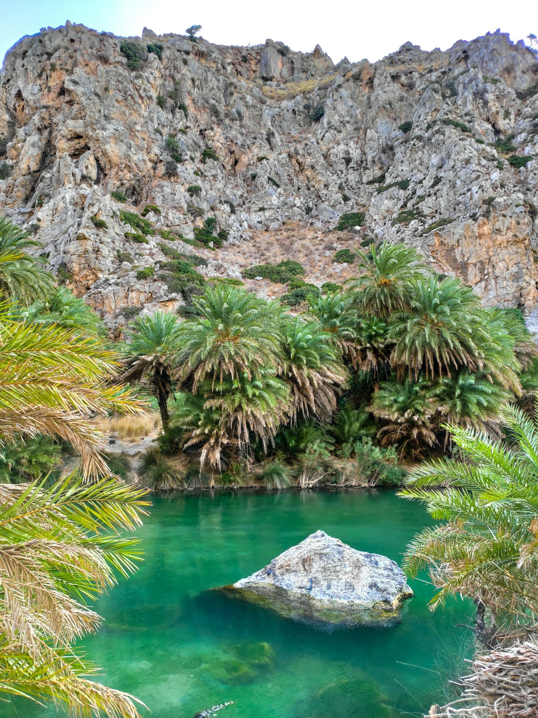 A river surrounded by tall palm trees and rocky mountains in the background.