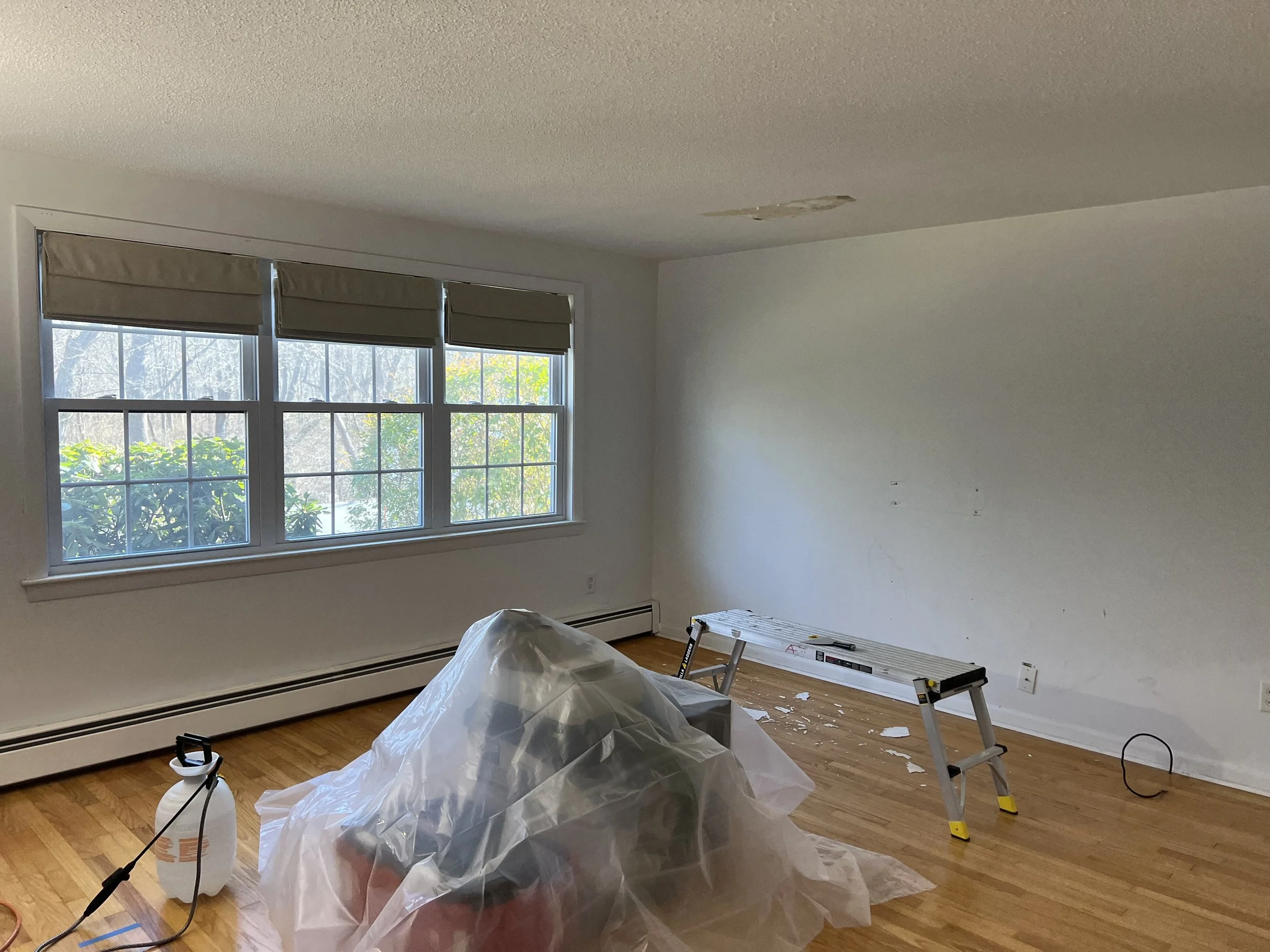 wall unit before 1 .jpg