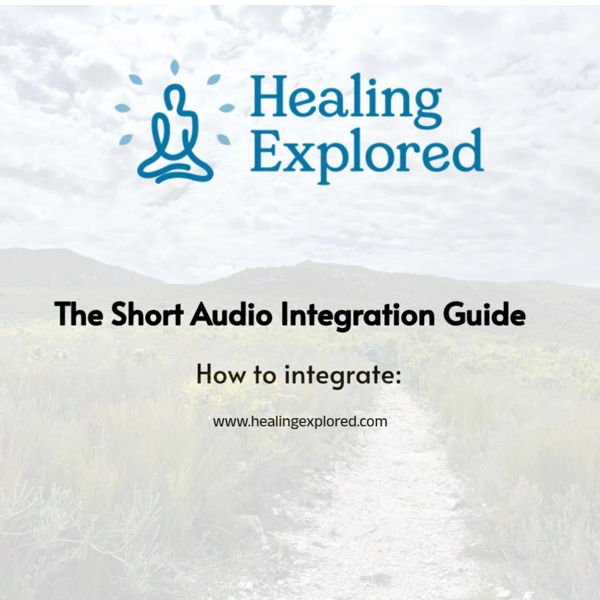 Integration Guide