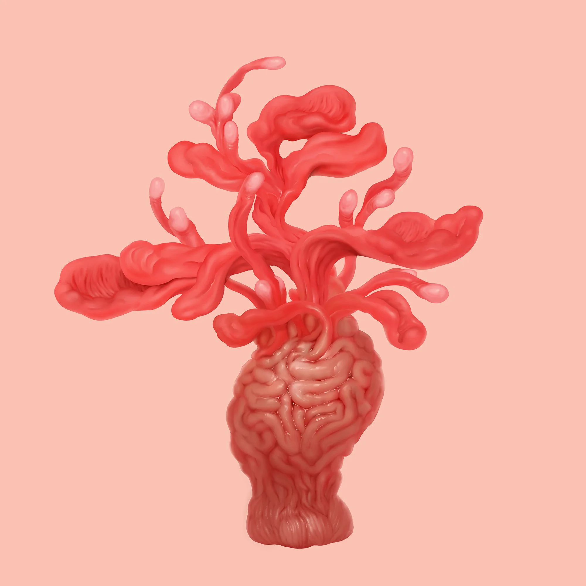 mORAL dELUSION-01.jpg