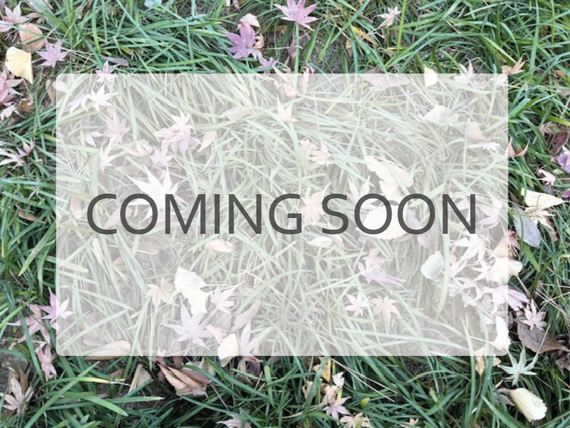 Ashleigh Road Classes