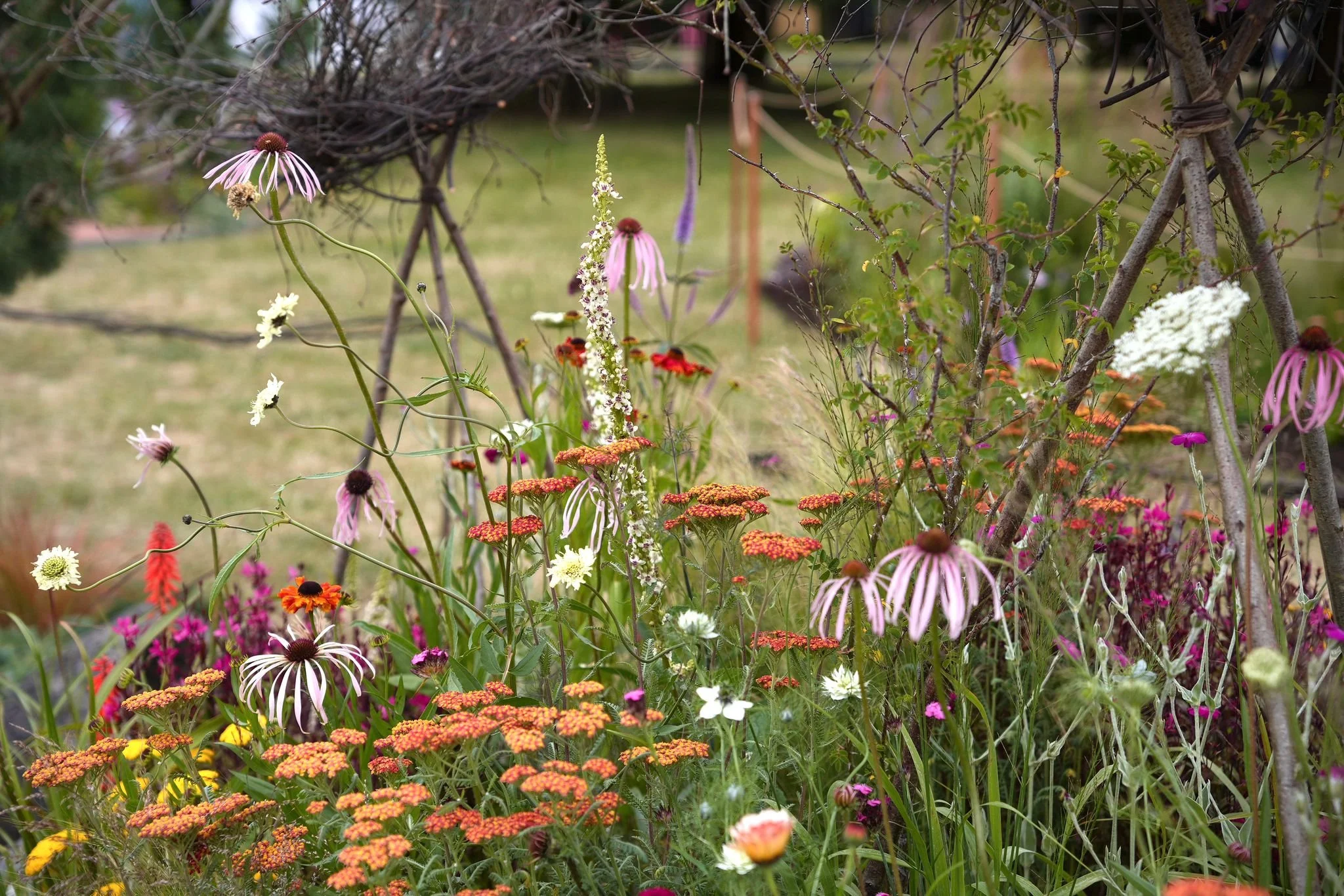 0ac7286c-fd70-42eb-b058-679a13c832d8 - Copy - Copy.jpg