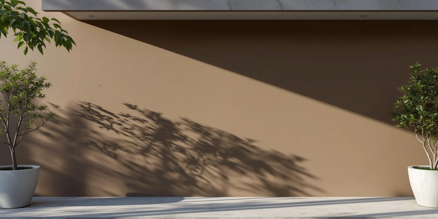 Deux pots de fleurs avec des arbres verts placés sur une surface blanche devant un mur beige. La lumière du soleil crée des ombres sur le mur.