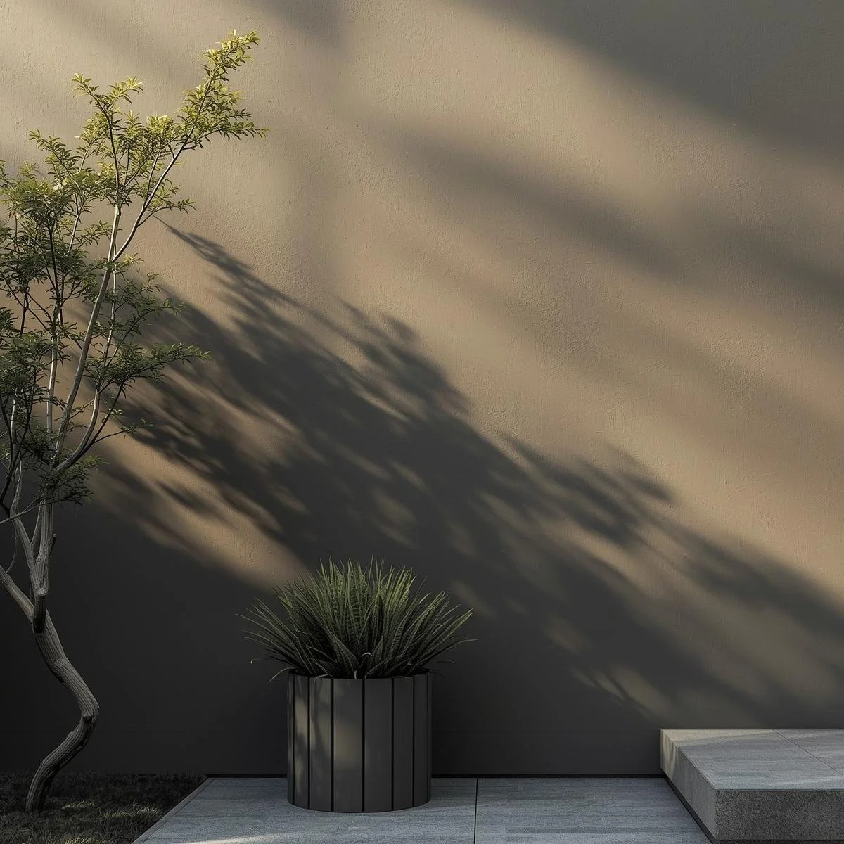 Une plante en pot avec des feuilles fines et pointues, une petite branche d'arbre avec des feuilles vertes, et l'ombre de la plante projetée sur un mur beige