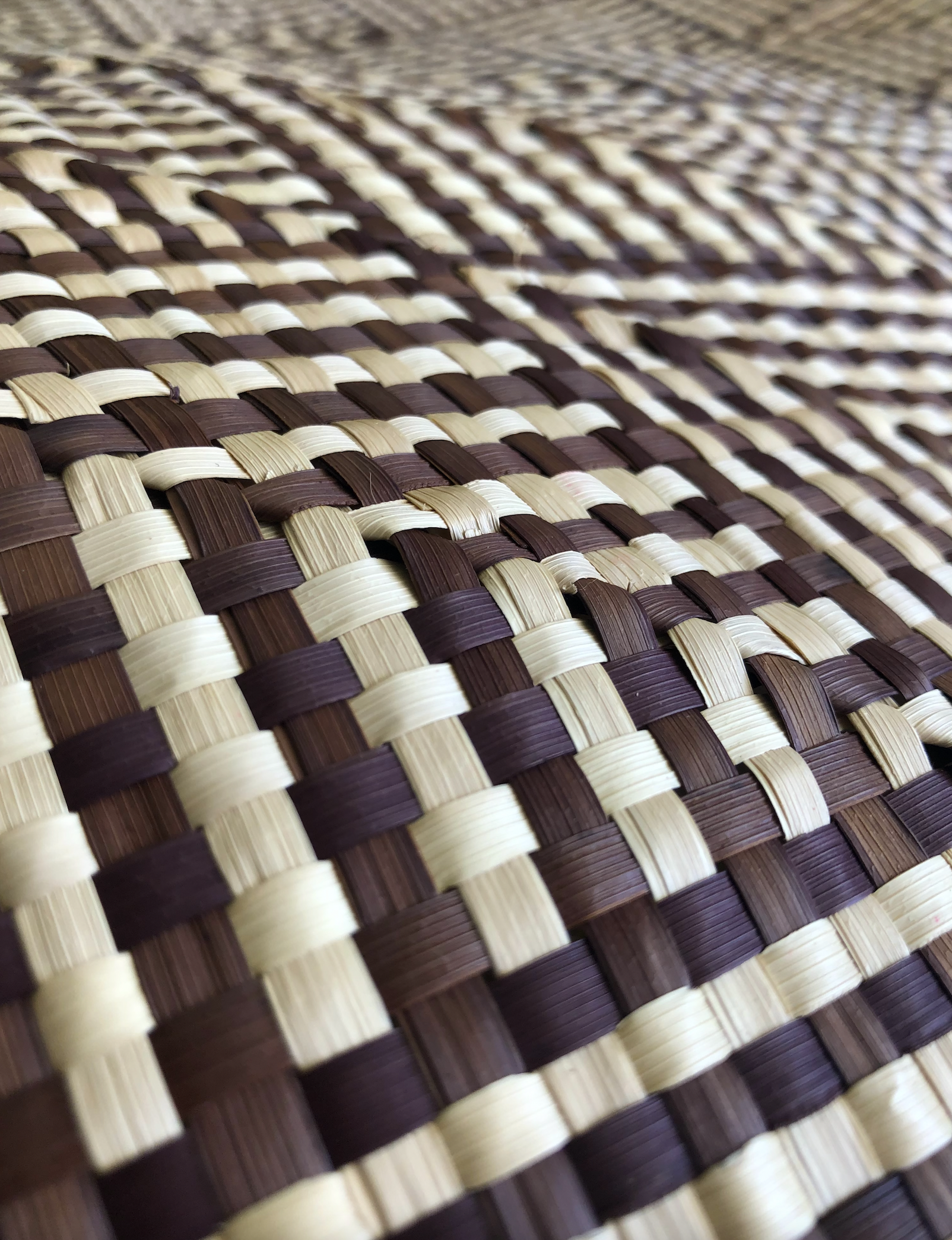 Screen Shot 2024-05-23 at 11.40.55 AM.png