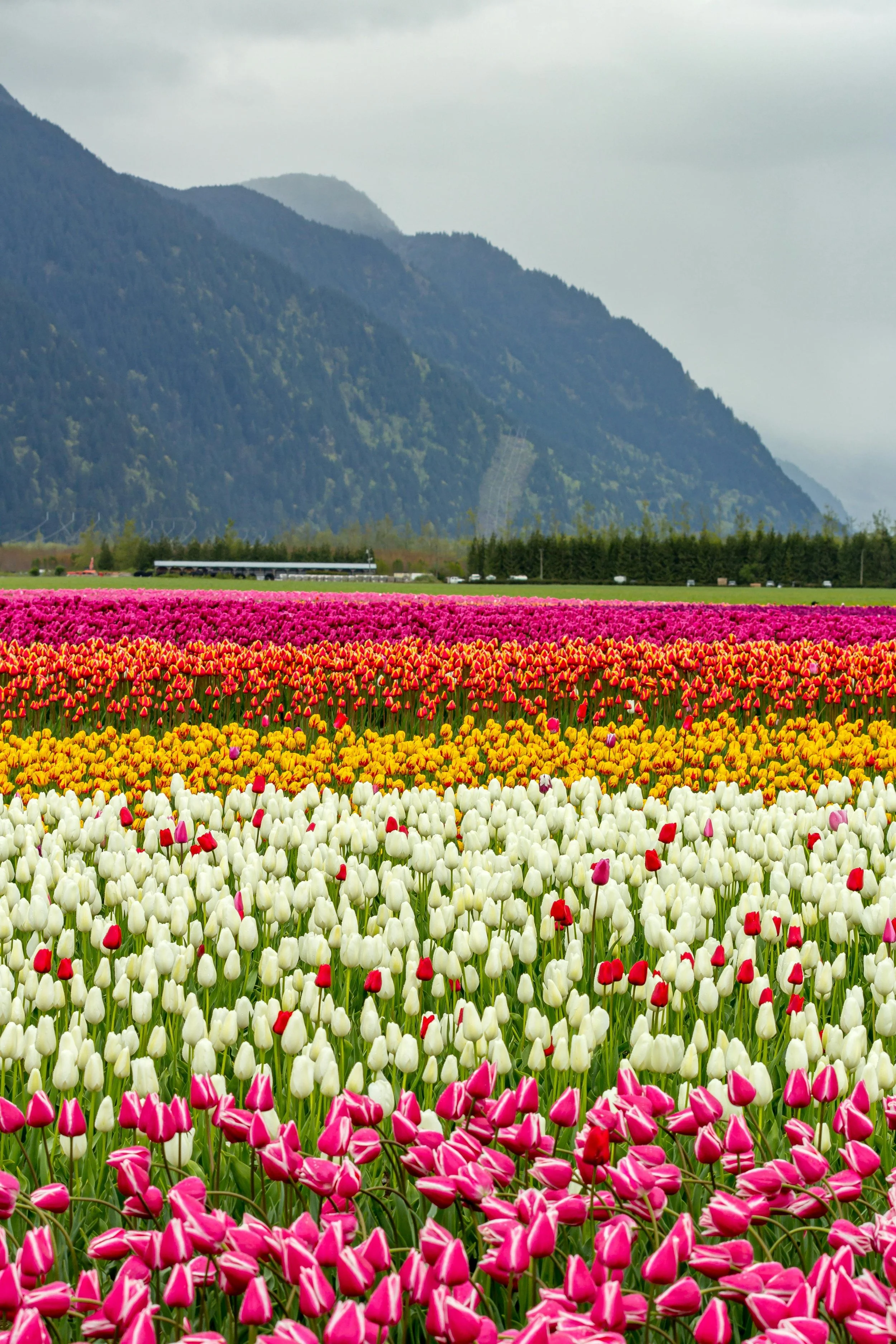 Best Destinations to Visit in the Spring