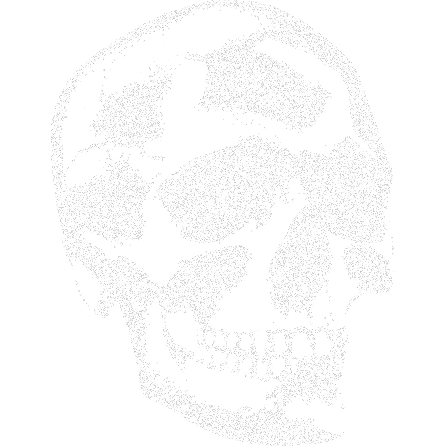 Skull and Crossbones