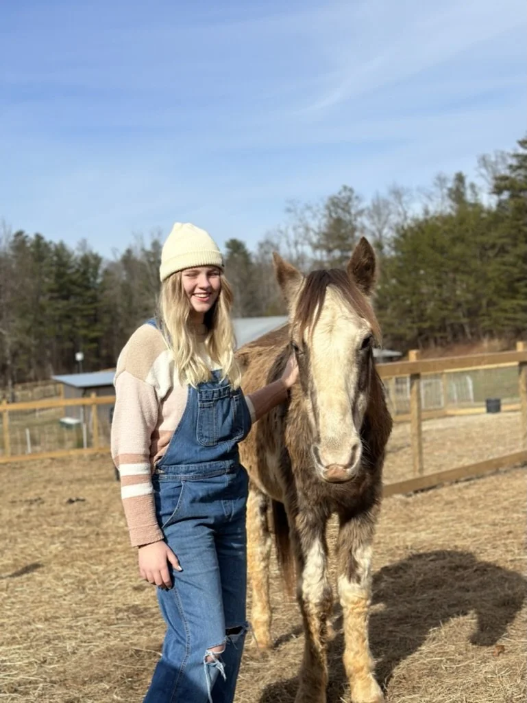 Become a Barn Buddy — Blue Ridge Rescue Barn