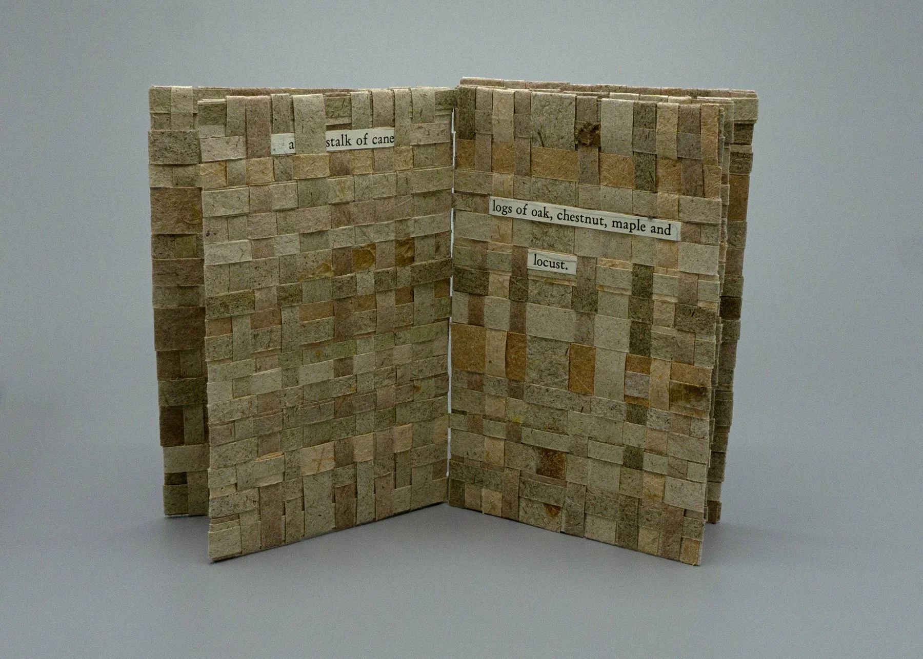 Chestnut and Chinquapin