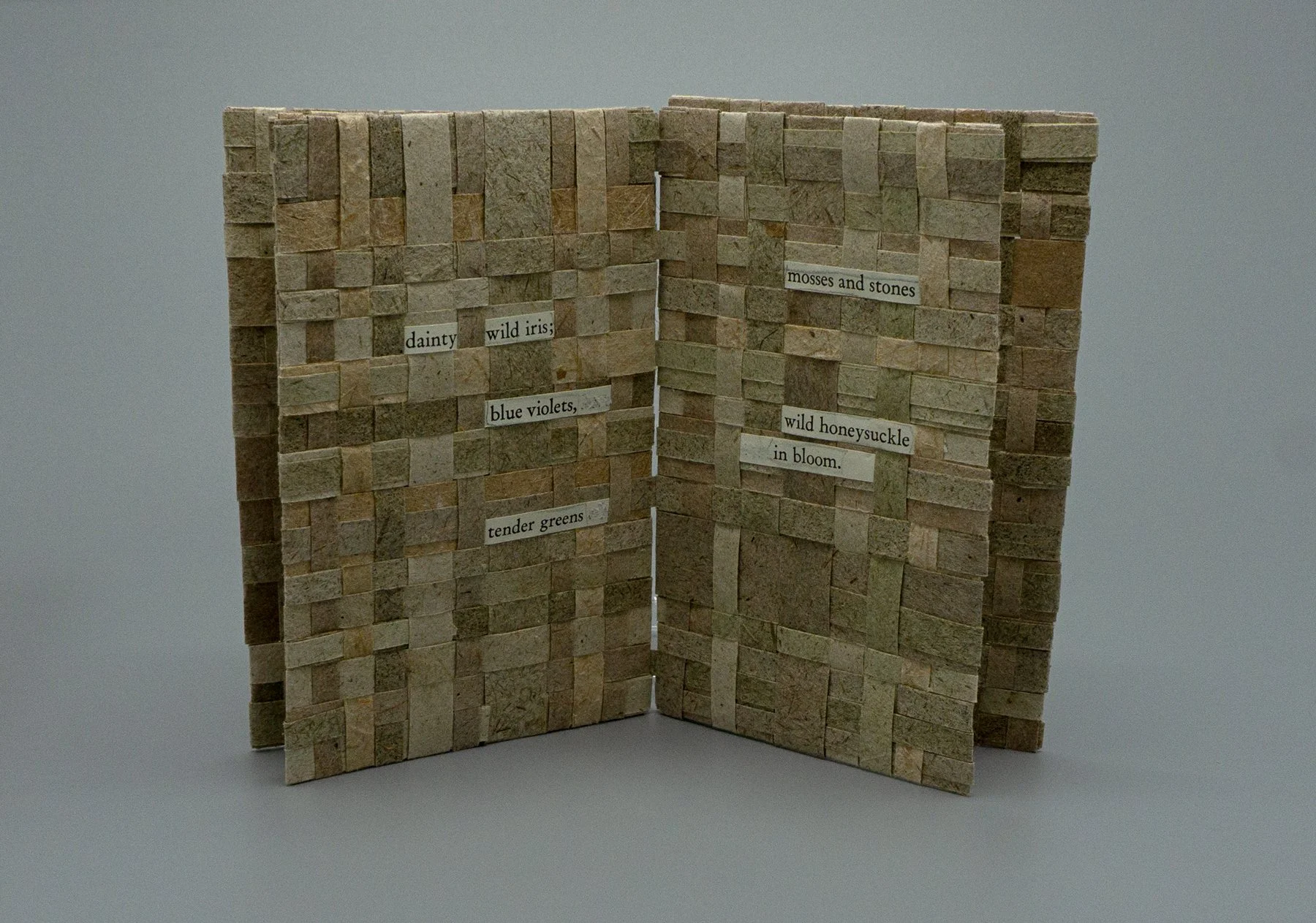 6-Chestnut-dainty wild iris.jpg