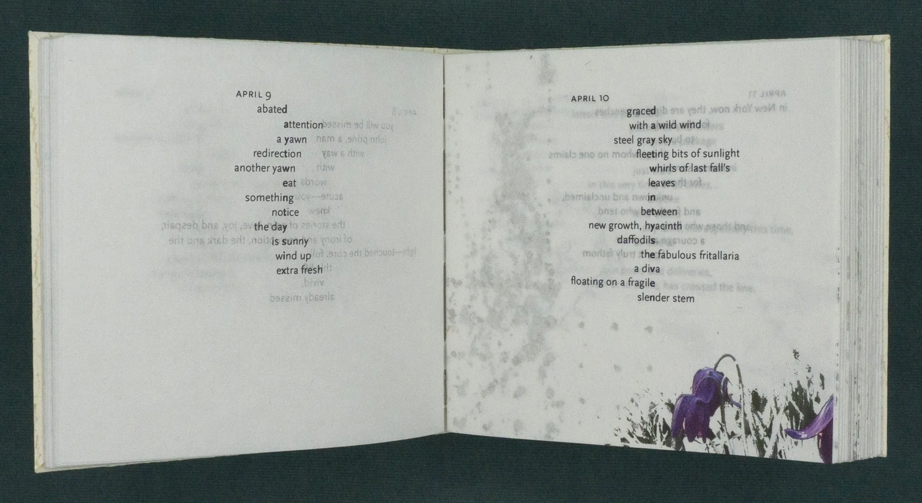 016. Sheltering- April 9-10.jpg