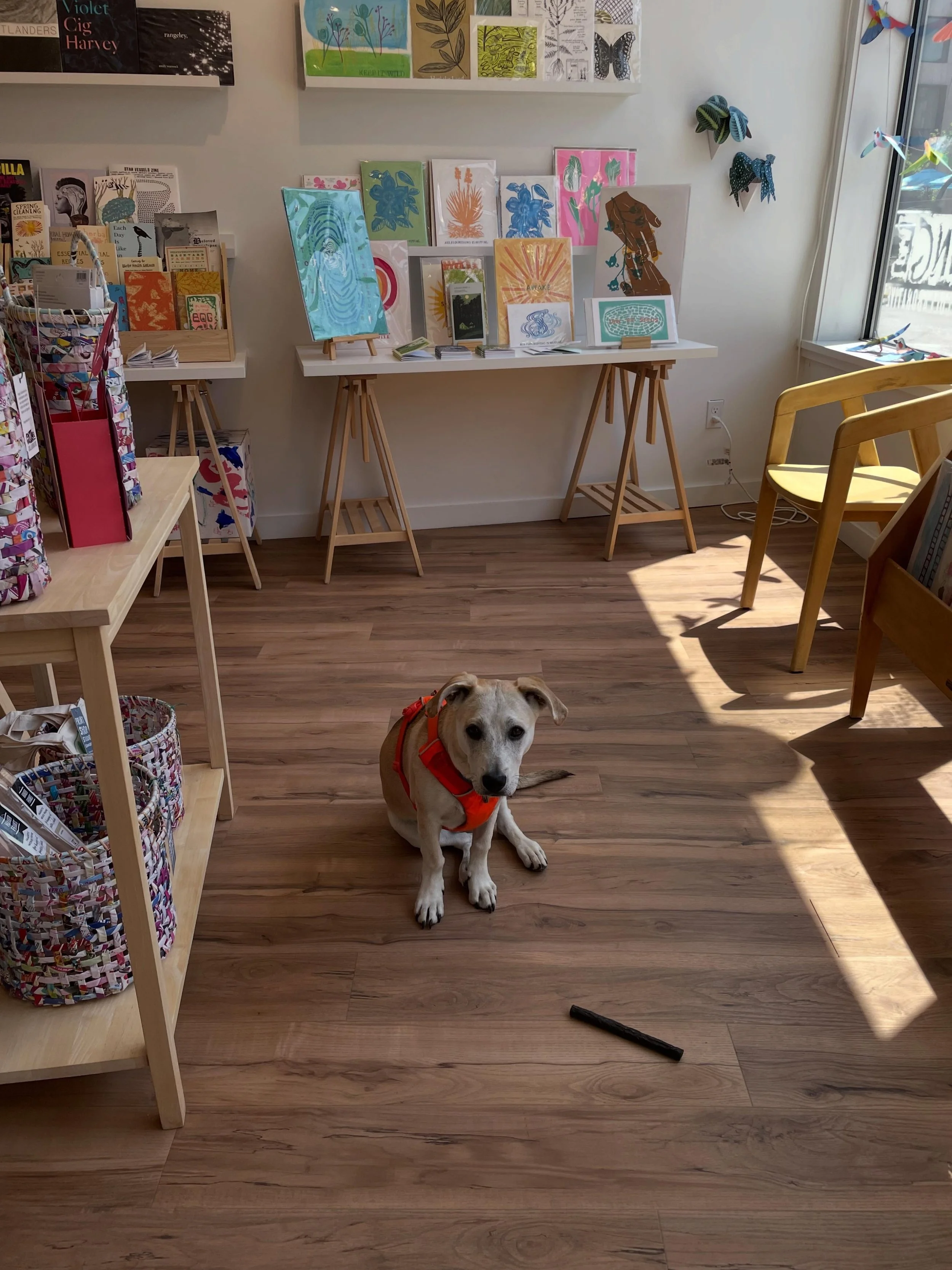 Hey friends! New member of the team is greeting you today. Come see us from 12-5 today through Saturday. Plenty of beauty and joy in here! #shopdog #printshop #printmaking #madeinmaine