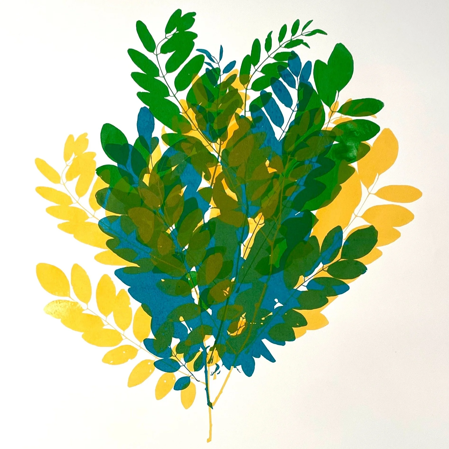 Working on some new editions, including this unique silkscreen monoprint, one of four unique prints on 22 x 30 paper. I have a couple in the shop this weekend; here until 5 today. Take care of each other out there. #healingplants #monoprint #sowthese