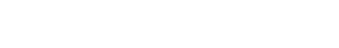 The Adams Group