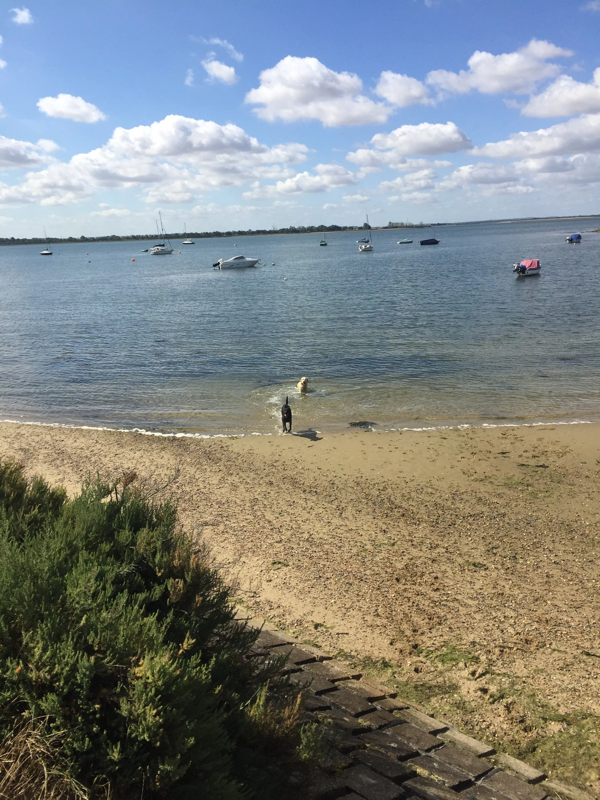 A Planning Application for Major Strategic Site North of Lowestoft