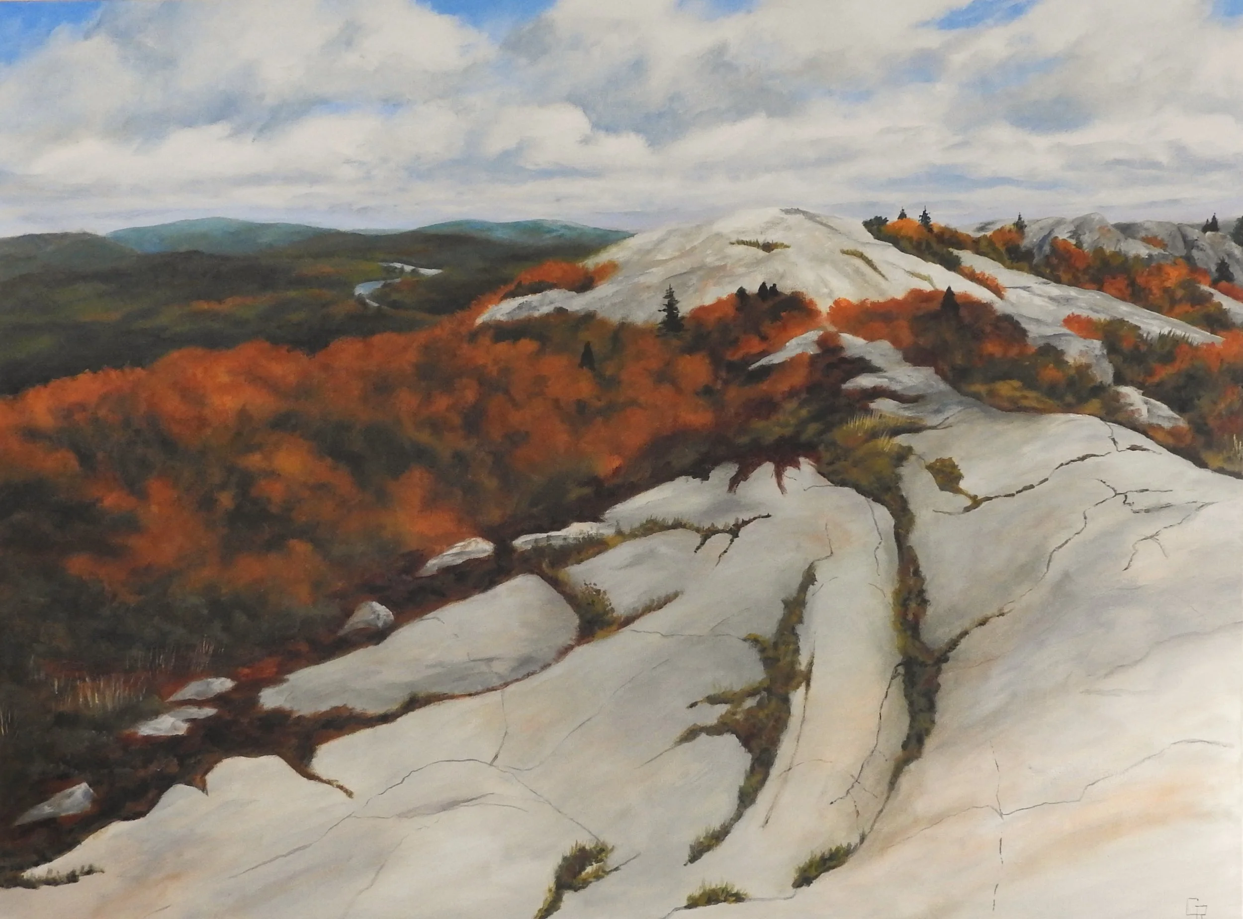 The View (48 x 36, acrylic - AVAILABLE $1500.00 CAN)