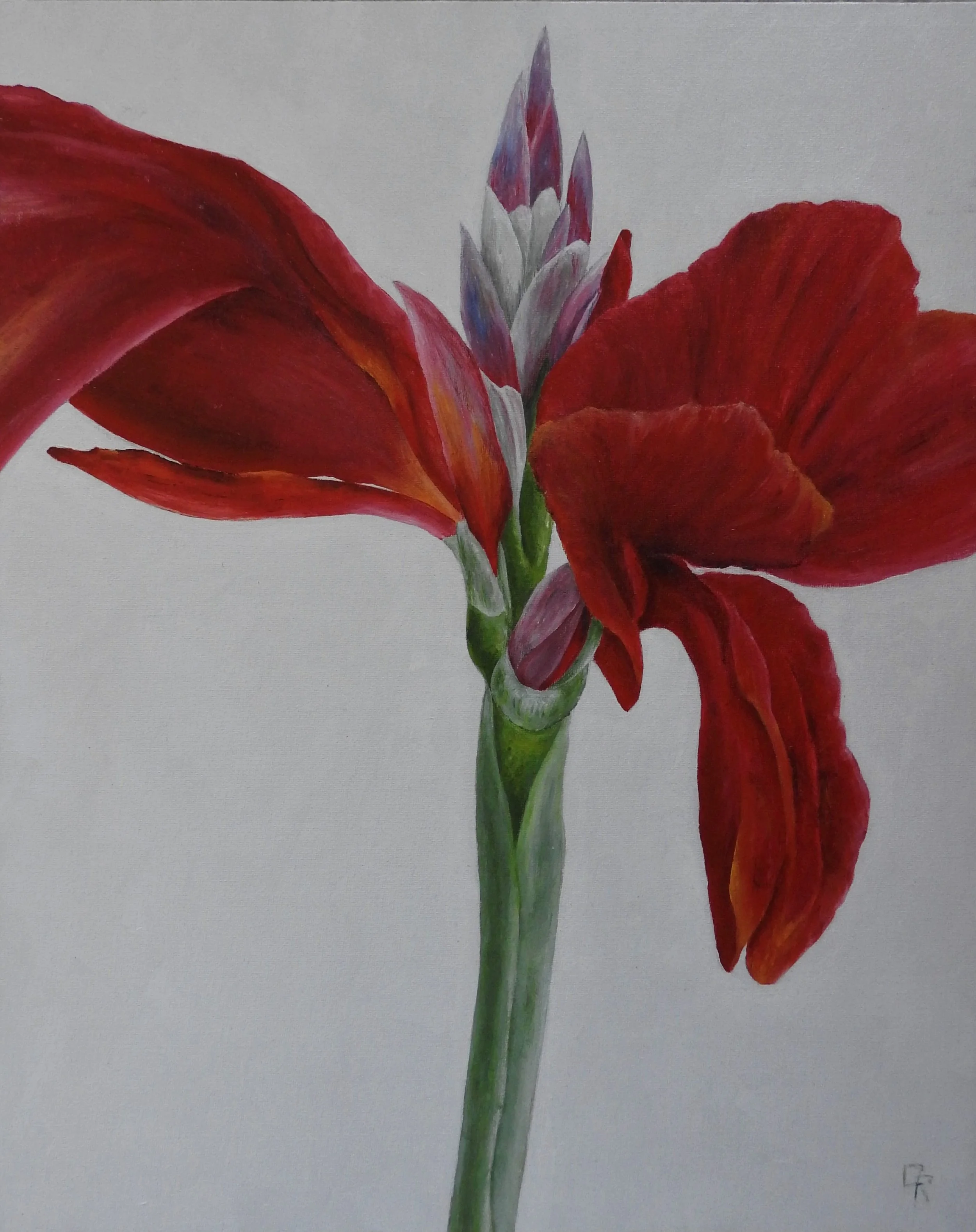 Wingspan (16 x 20, acrylic - AVAILABLE $200.00 CAN)