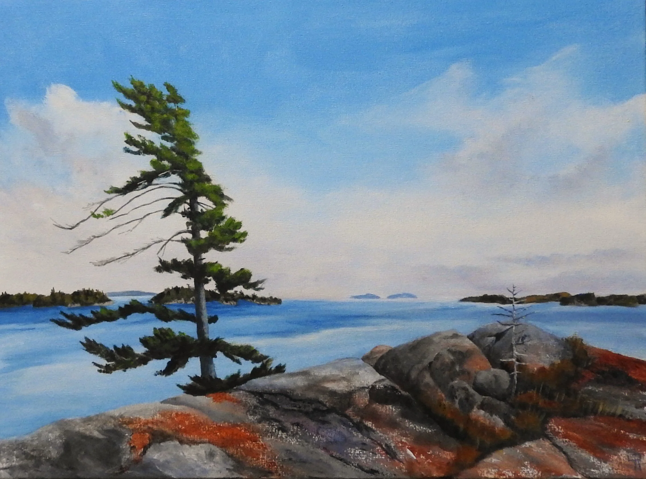 Standing Tall (24 x 18, acrylic) SOLD