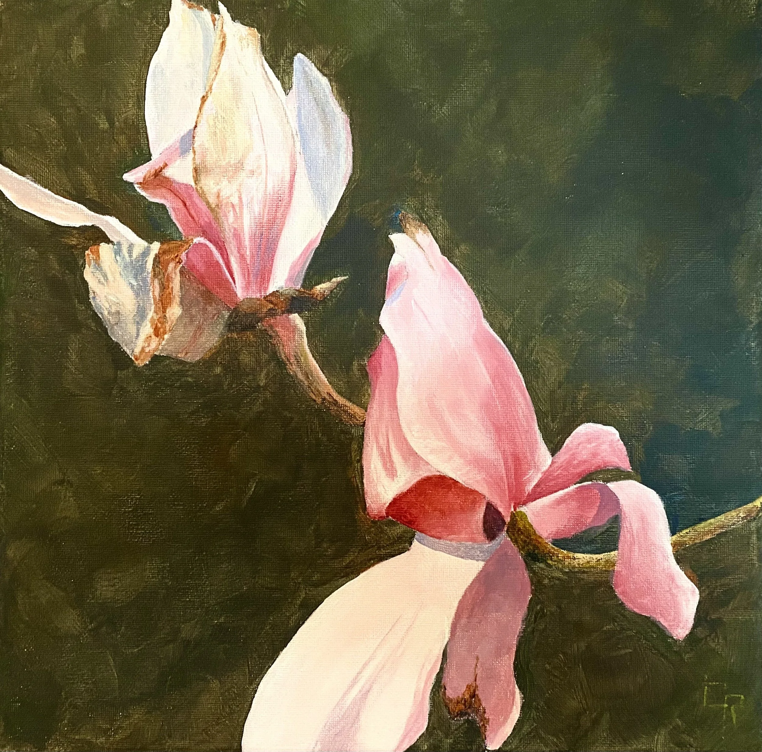 Magnolia - 3 (12 x 12, acrylic - SOLD)