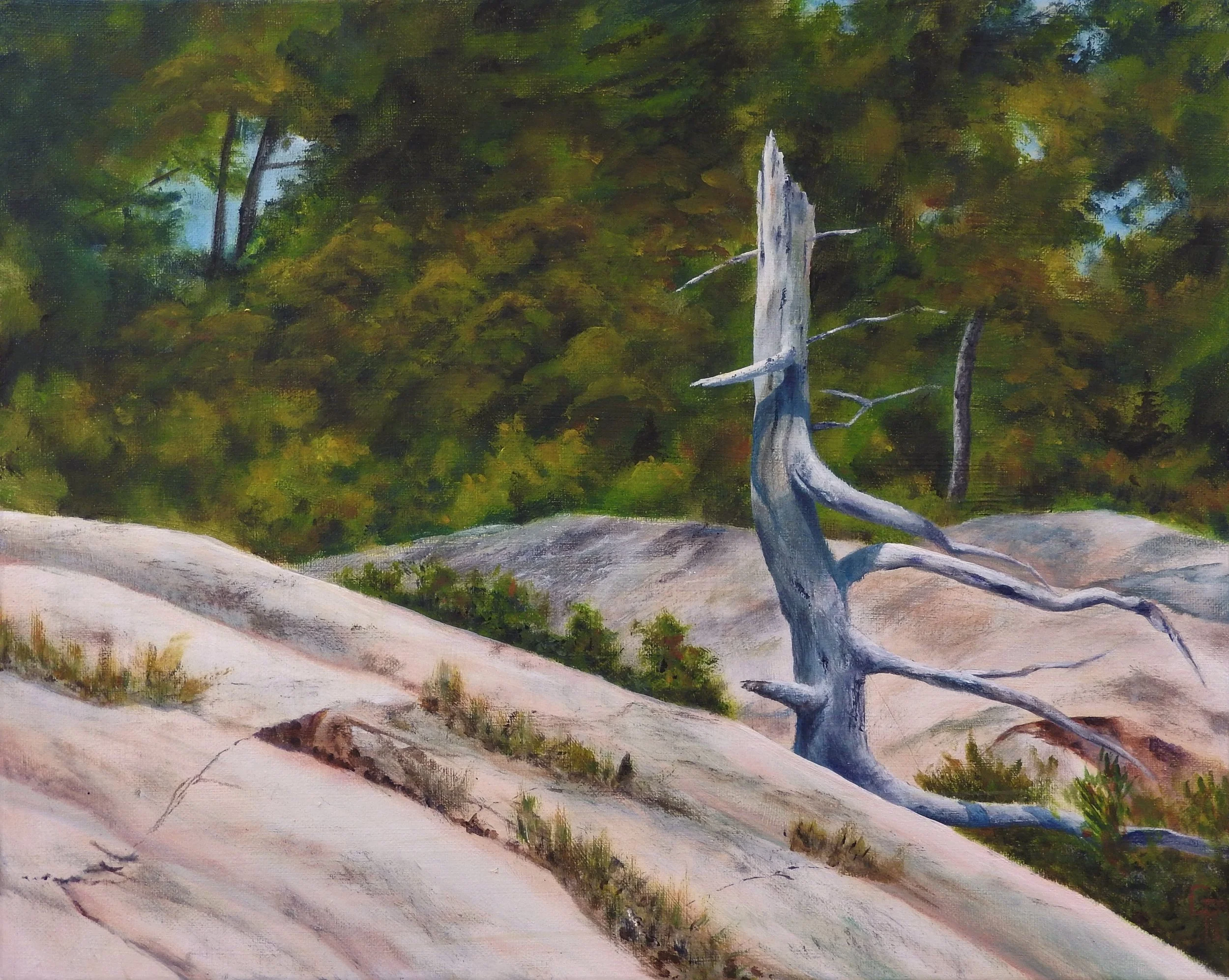 Sculpted (20 x 16, acylic) SOLD