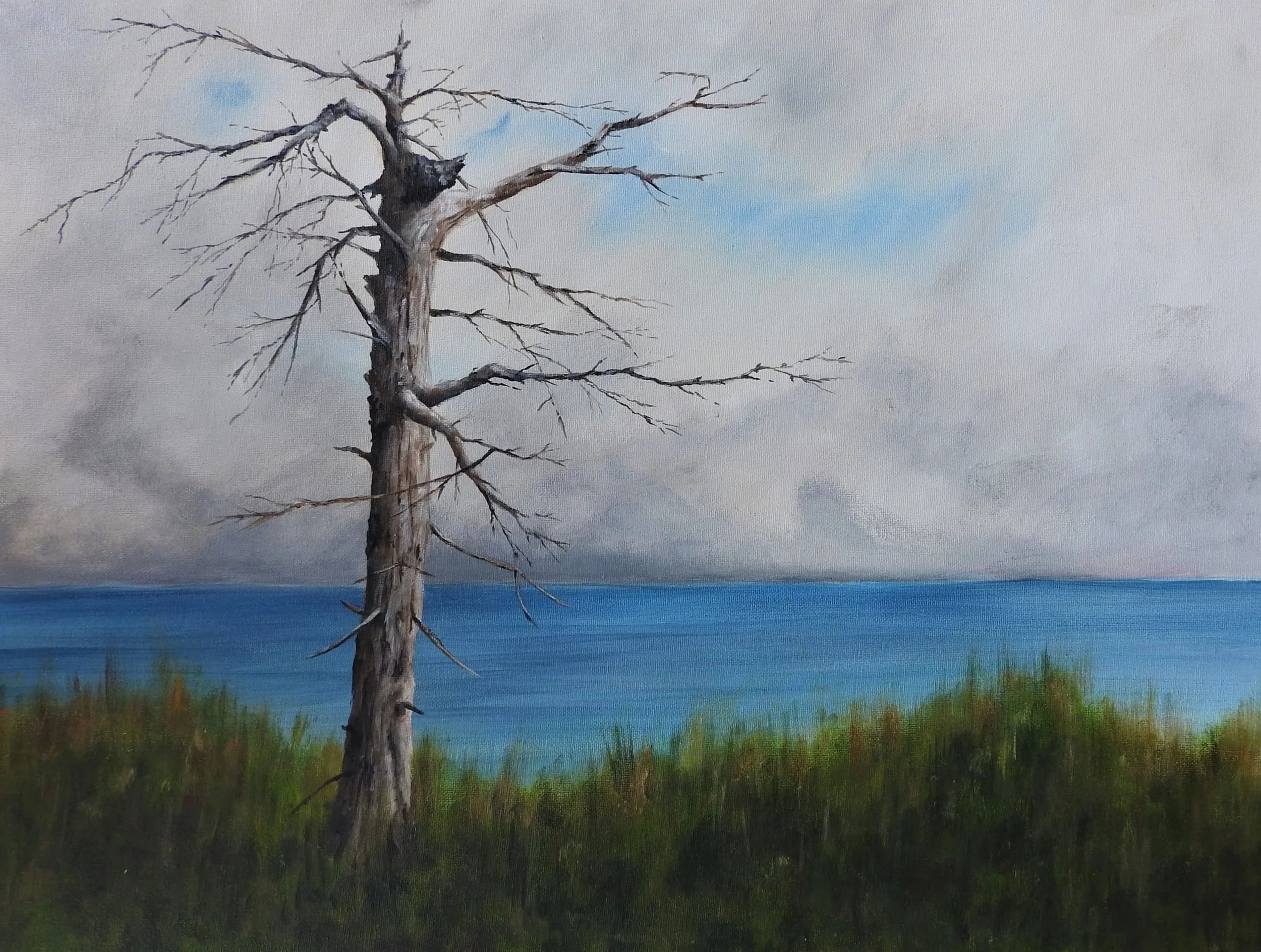 Fogbank (24 x 18, acrylic - SOLD)