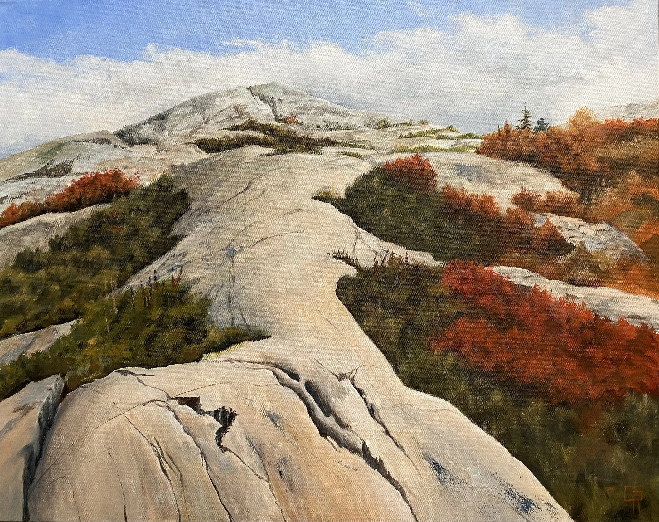 High Ground (36 x 30, acrylic - AVAILABLE $750.00 CAN)