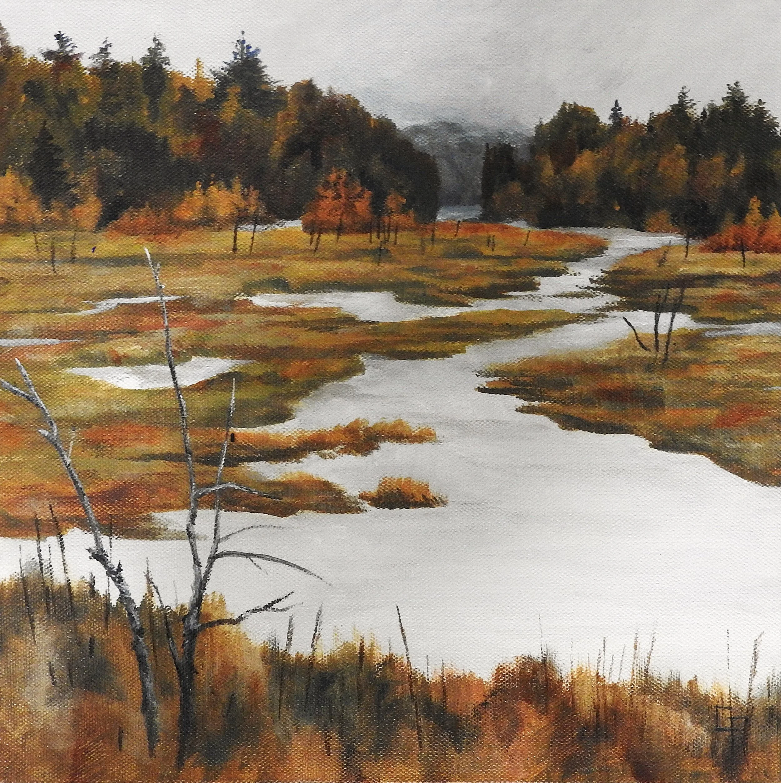 Wetlands (12 x 12, acrylic - SOLD)