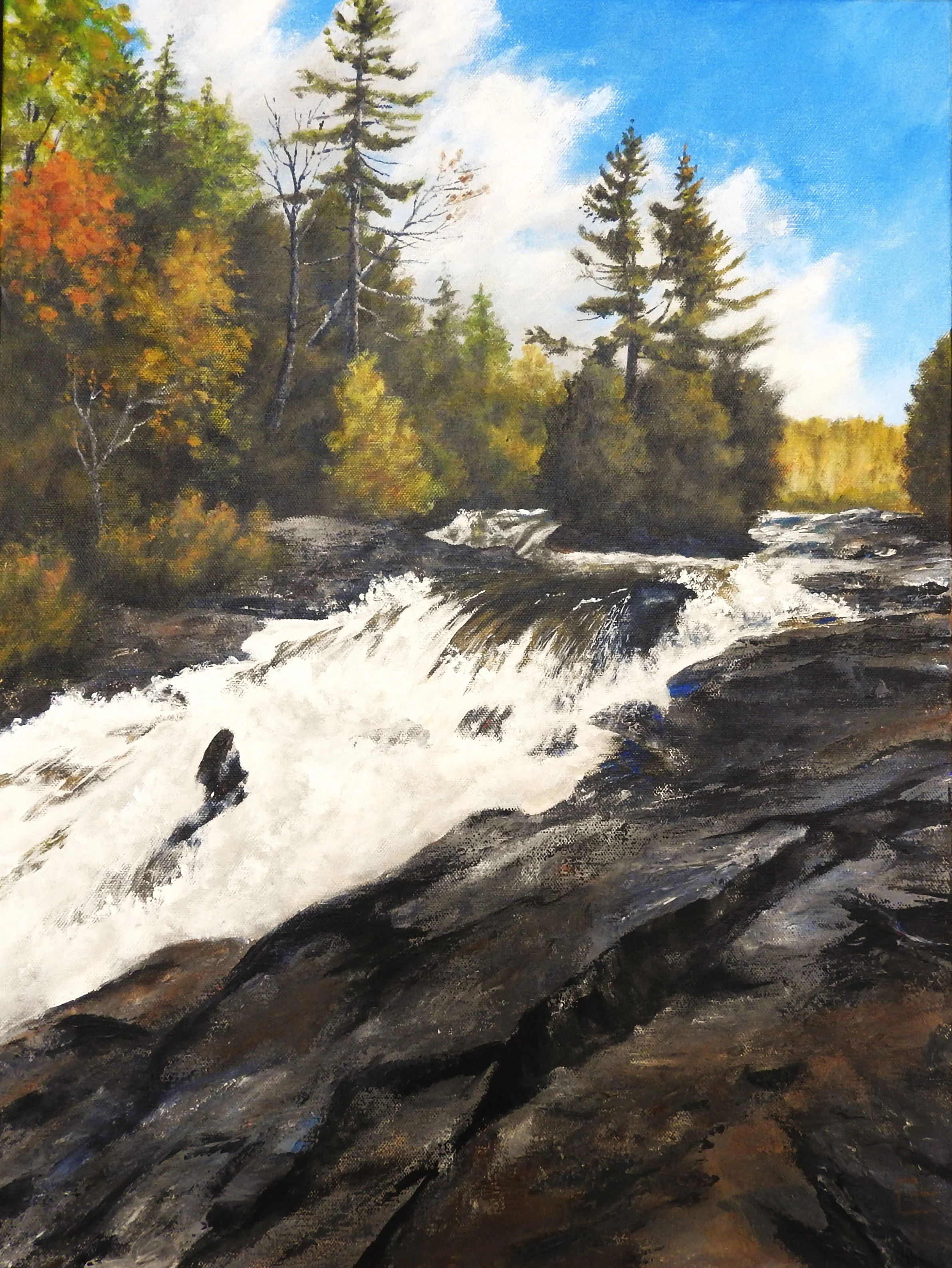 The Rapids (30 x 48, acrylic - SOLD)