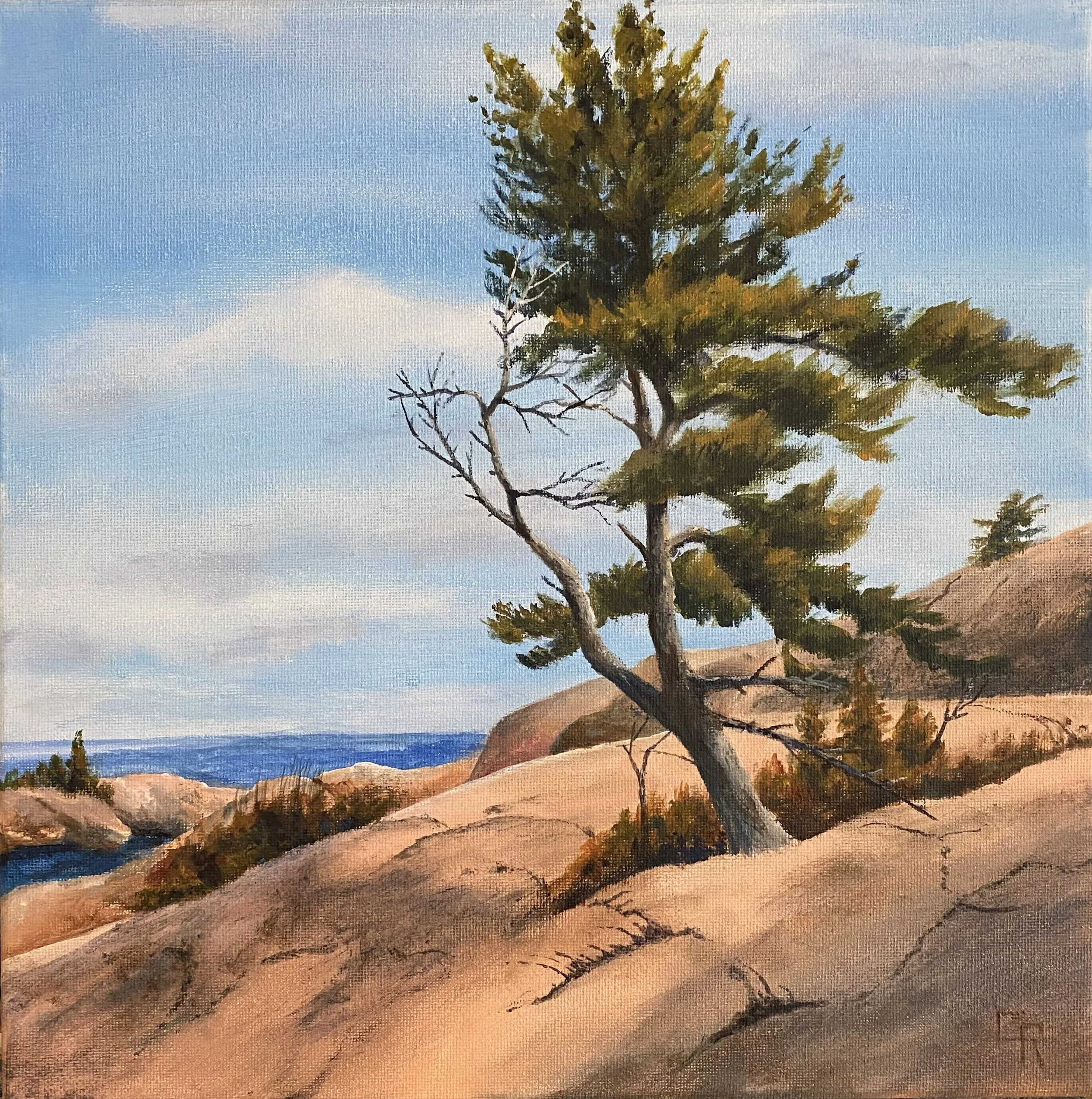 Standing Strong (12 x 12, acrylic) SOLD