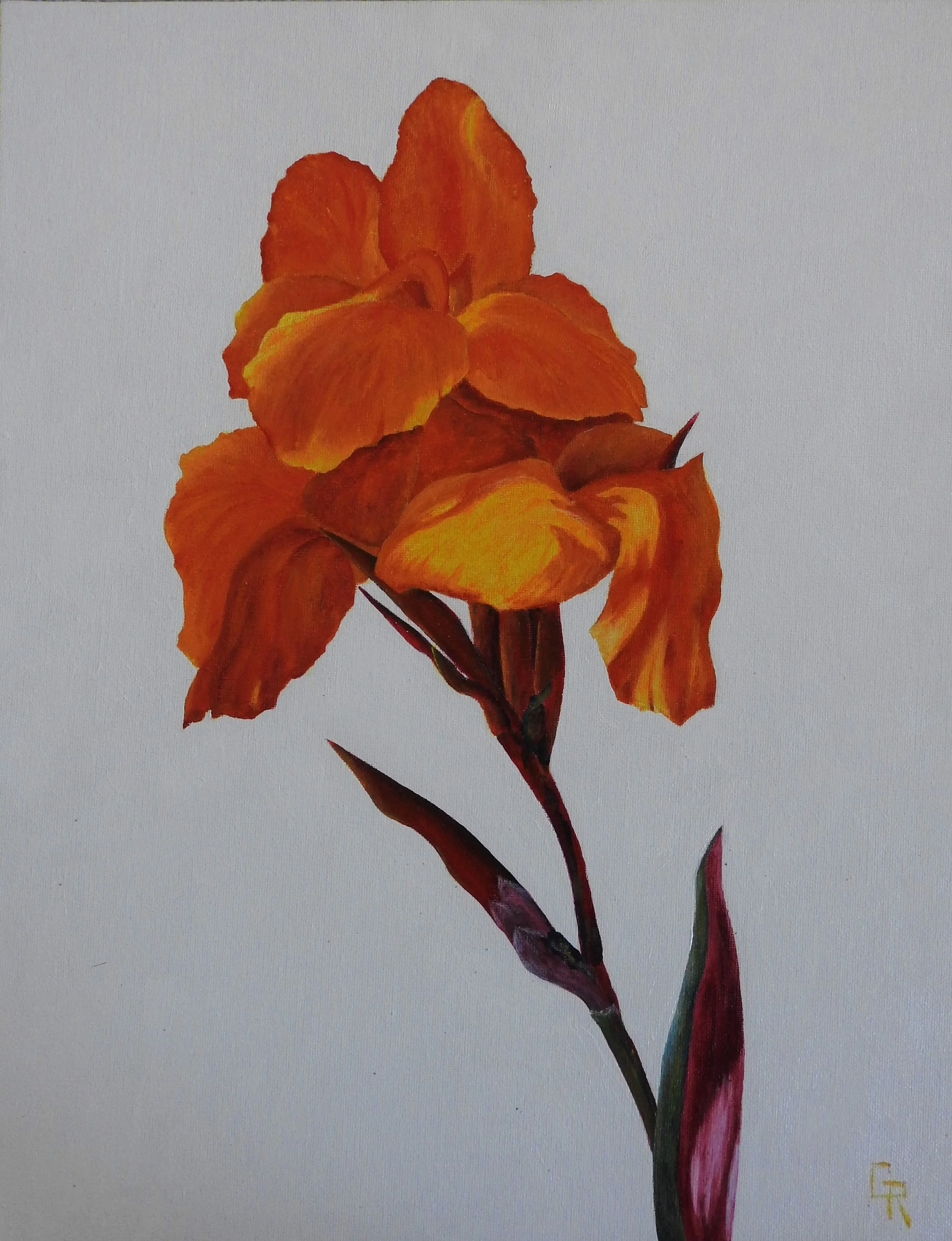 Orange Blossom (16 x 20, acylic - AVAILABLE $200.00 CAN)