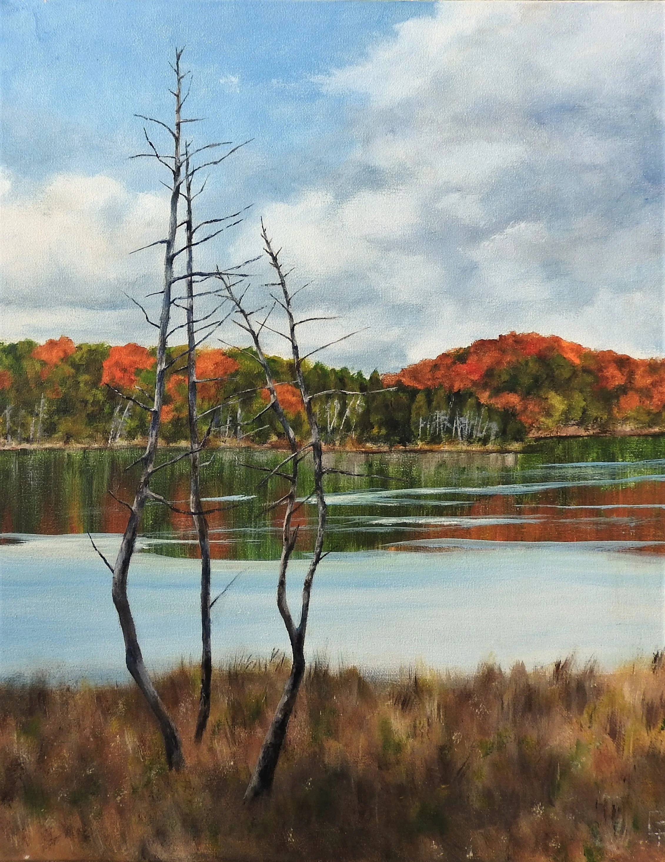 Across the Lake (18 x 24, acrylic - SOLD)