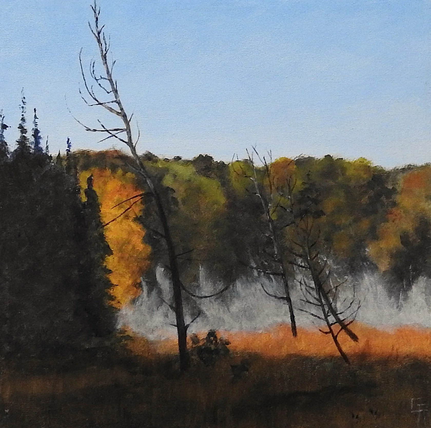 Morning Mist (12 x 12, acrylic - AVAILABLE $150.00)