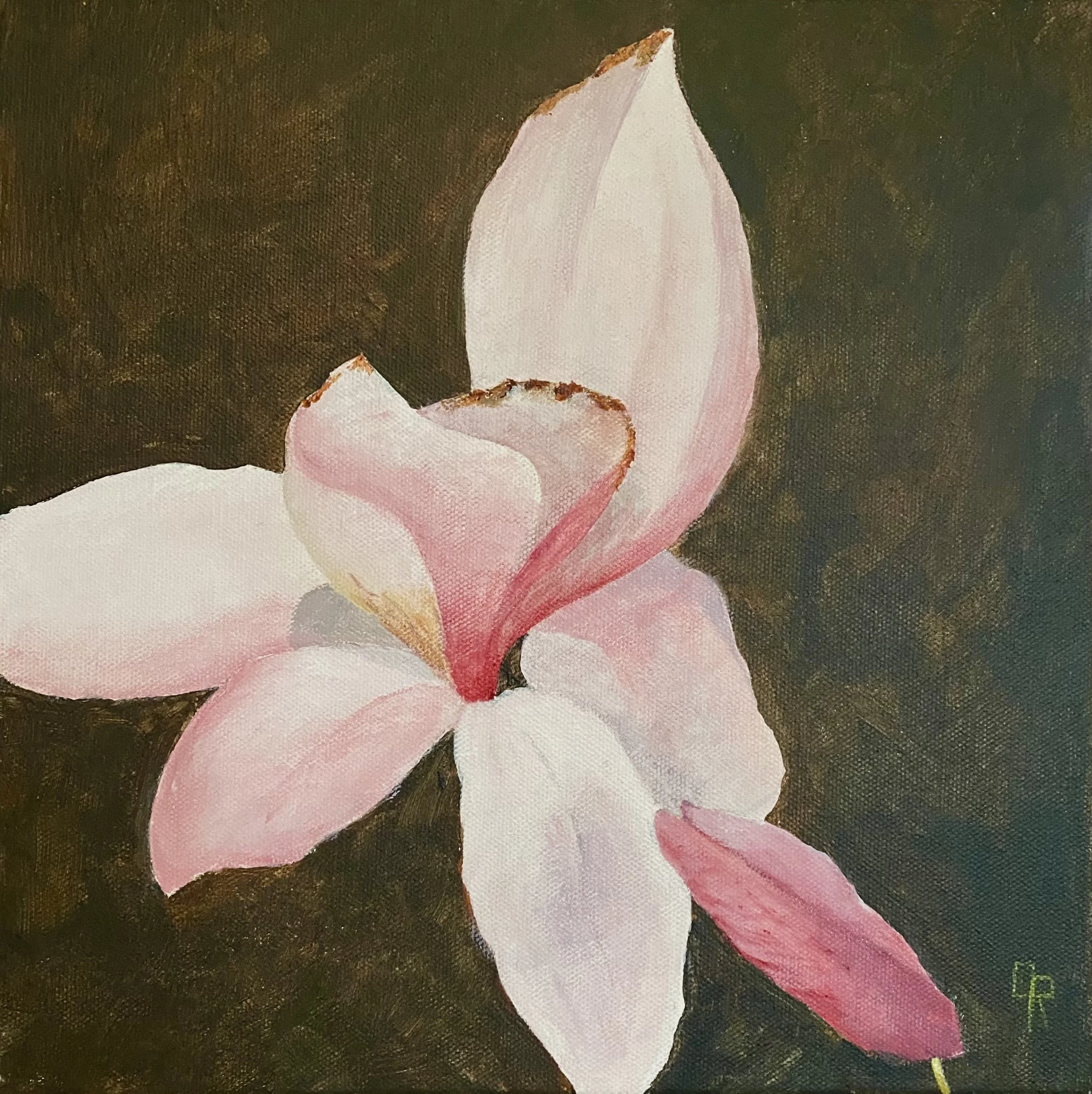 Magnolia - 1 (12 x 12, SOLD) 