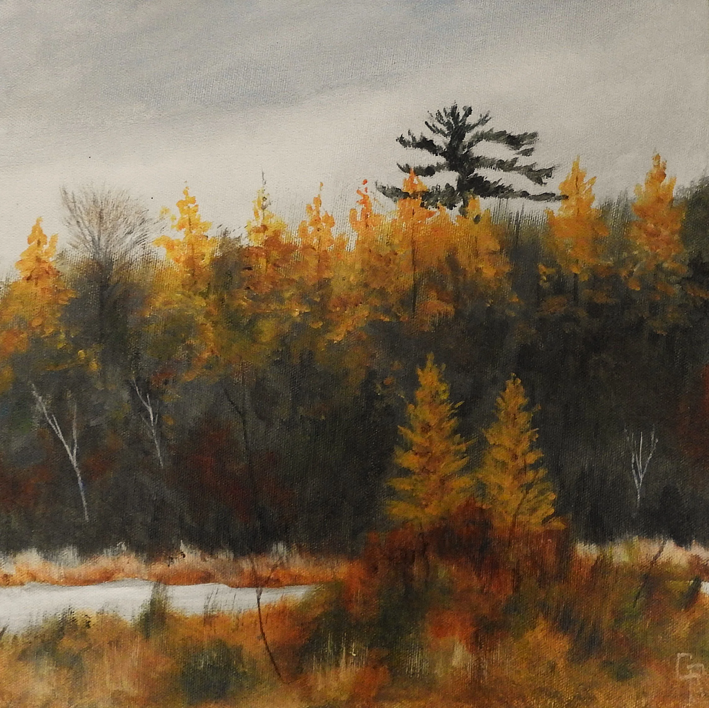 A Fall Afternoon (12 x 12, acrylic - SOLD)