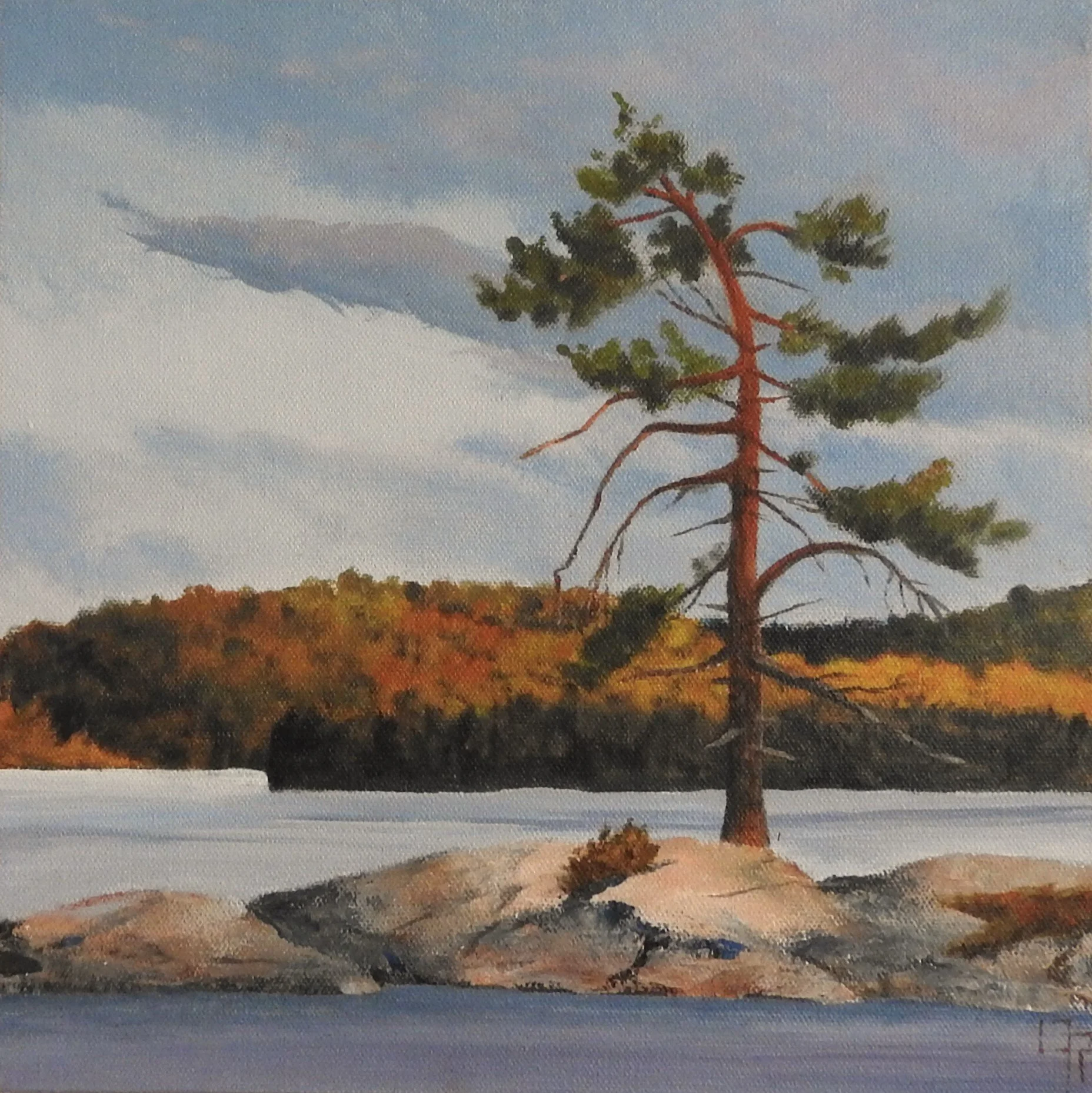 Eveniing Light (12 x 12, acrylic) SOLD