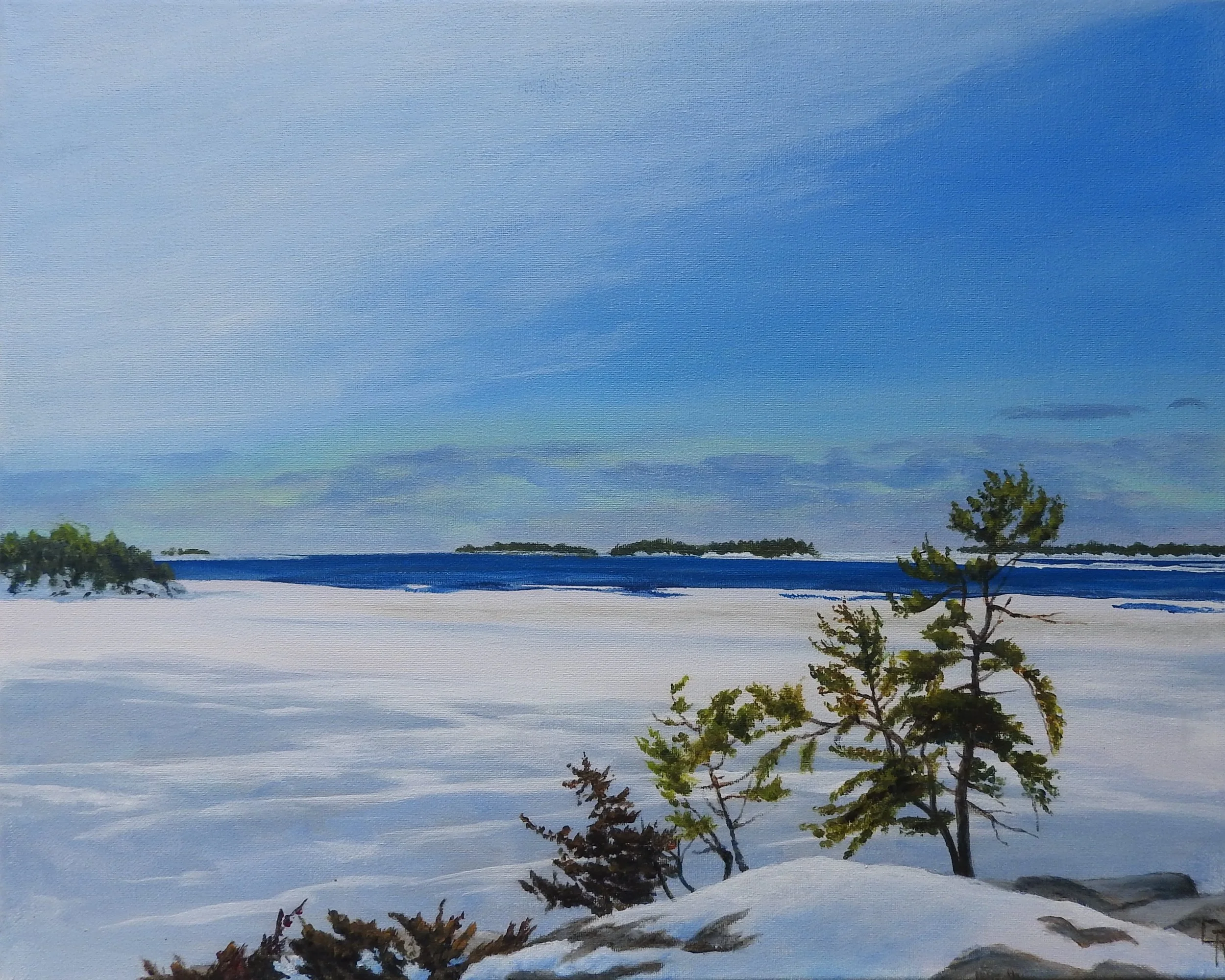 WInter View (20 x 16, acrylic - SOLD)
